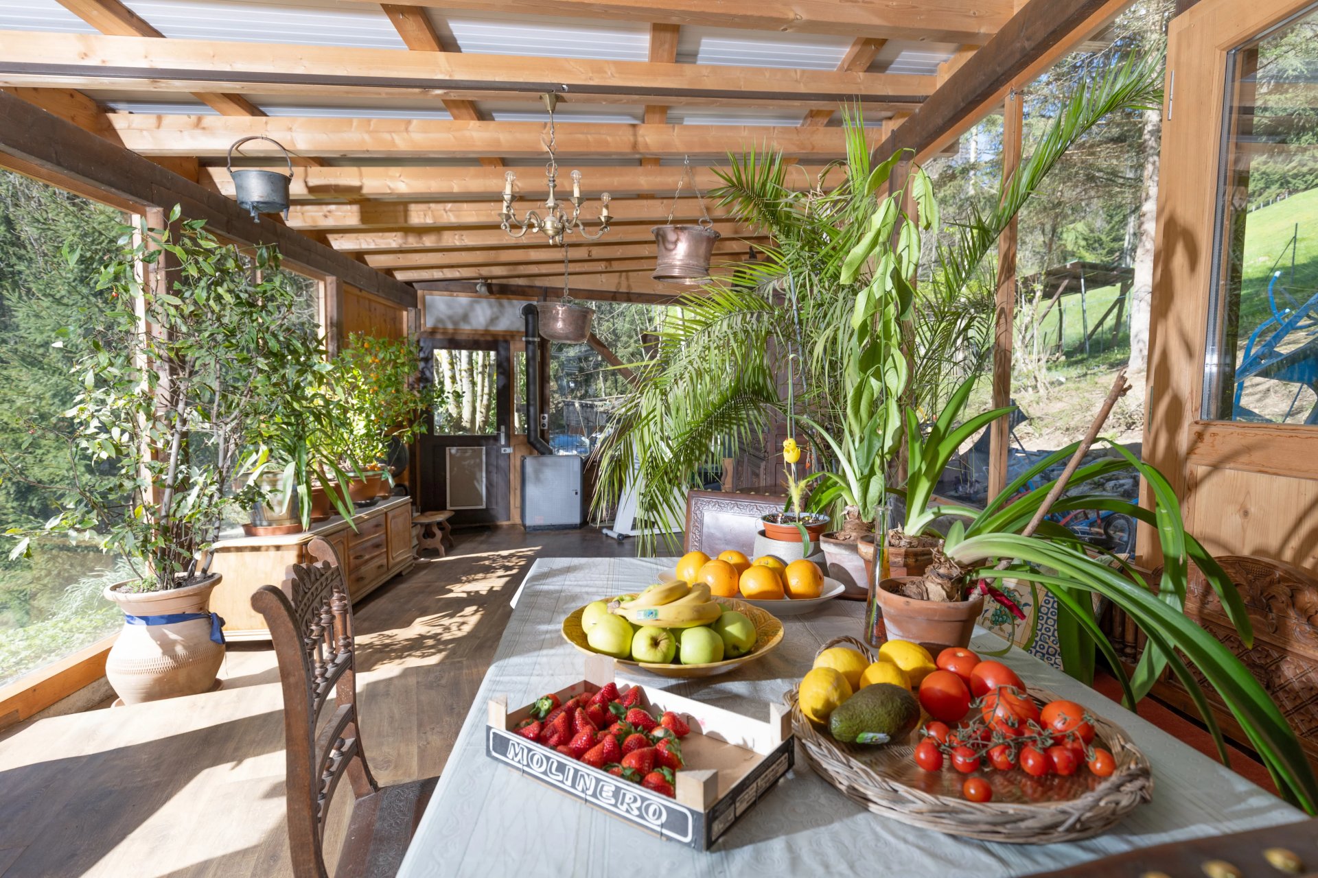 Veranda mit Pflanzen und Obsttisch