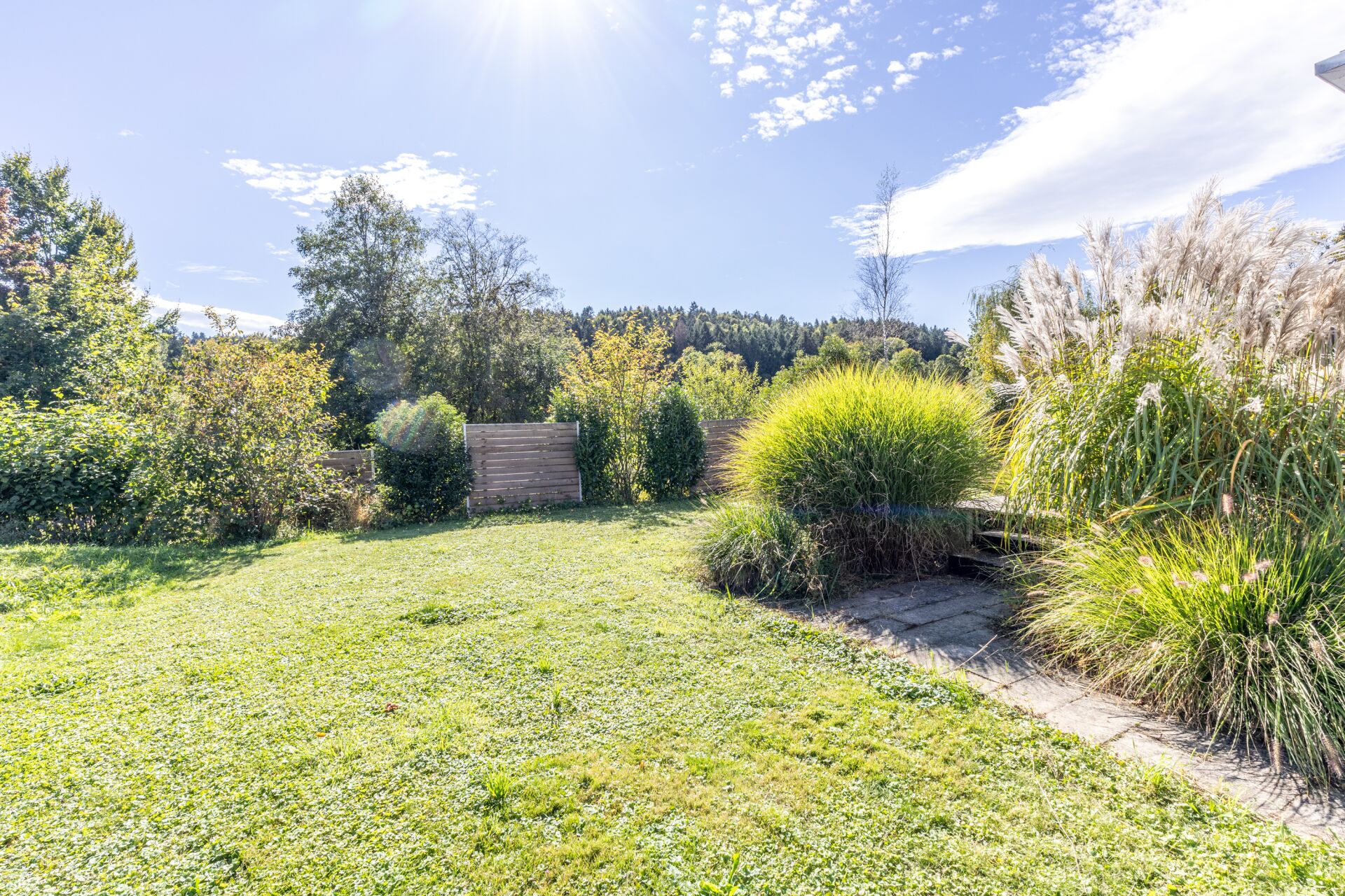 Großer sonniger Garten