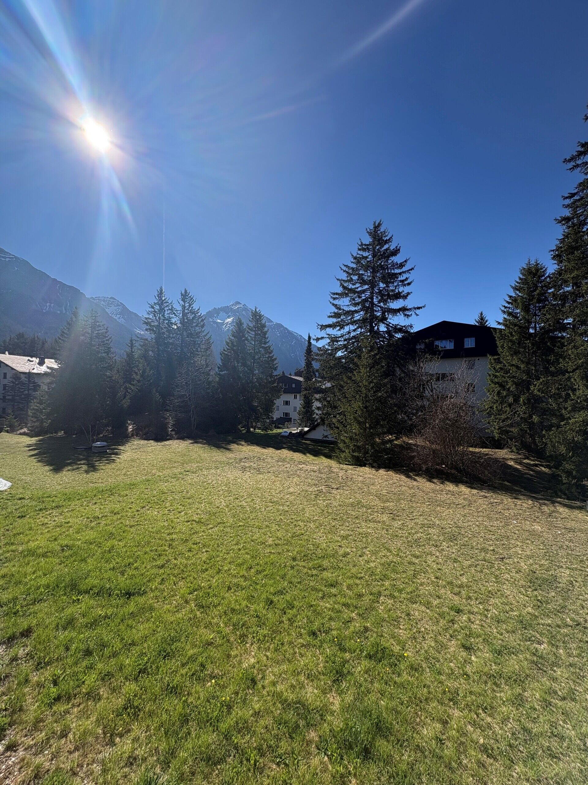 Alpine Wiese mit Bergblick