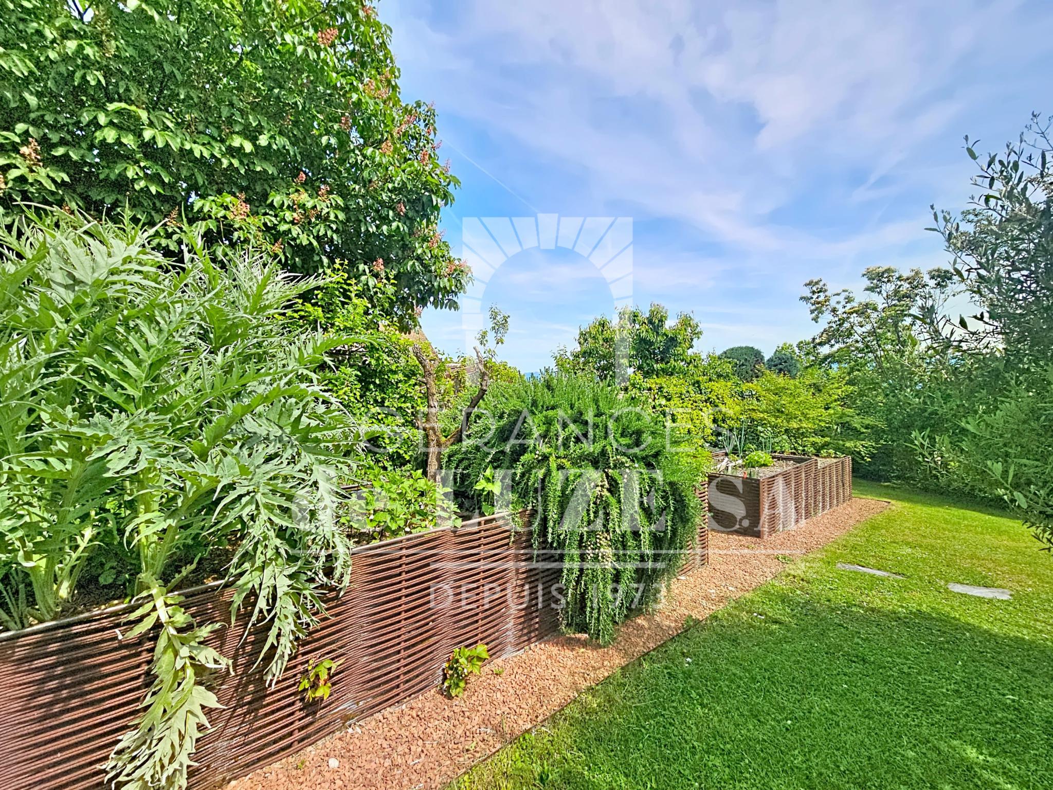 Garten mit üppiger Begrünung und Hochbeeten