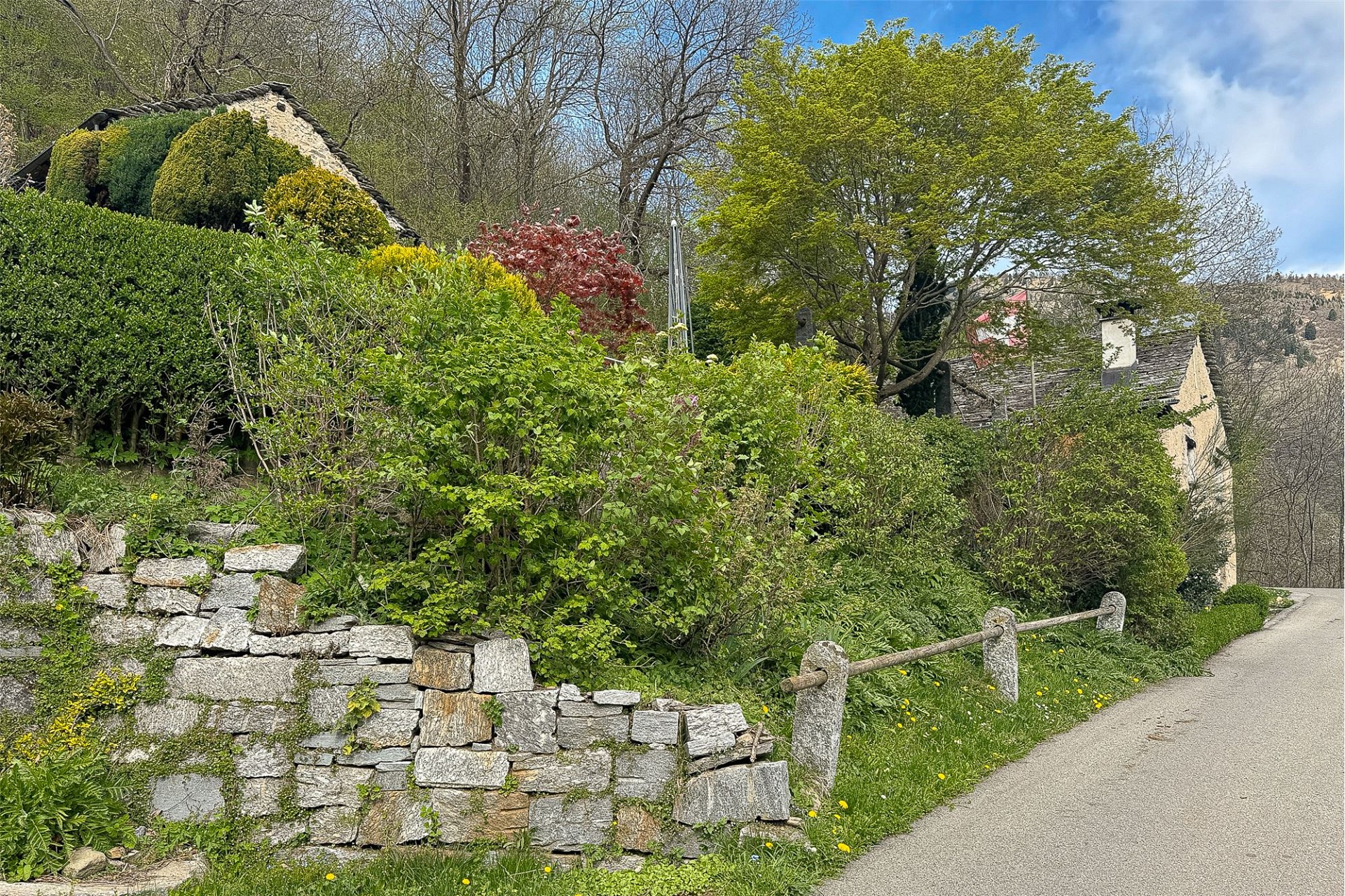 Bewachsene Hanglage mit Natursteinmauern