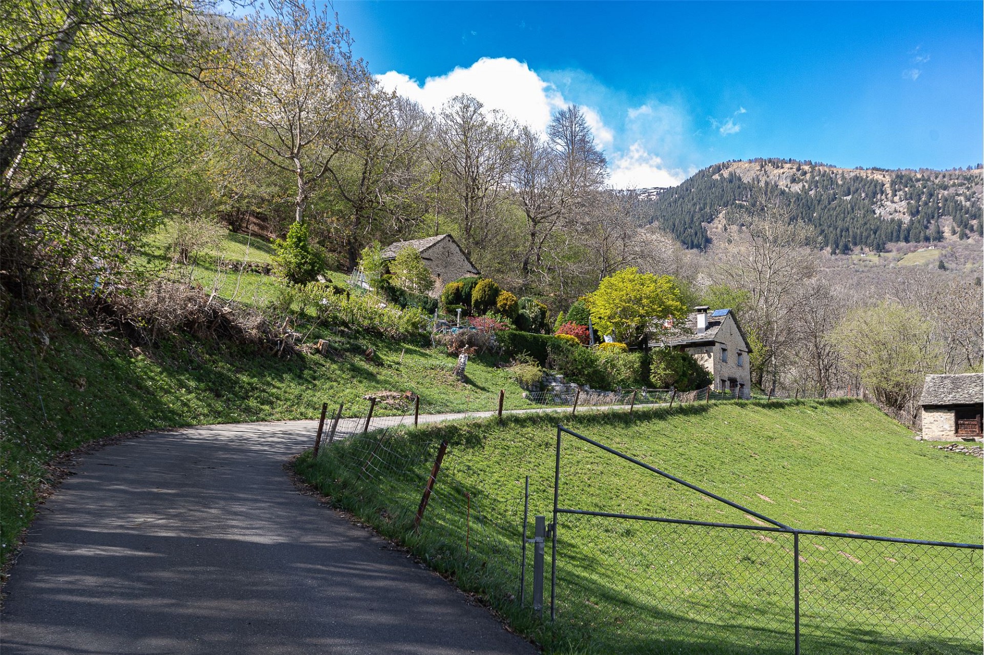 Ländliche Bergstraße mit Wiesen und Häusern