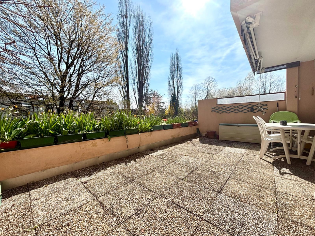 Sonnige Terrasse mit Pflanzenkübel und Sitzbereich