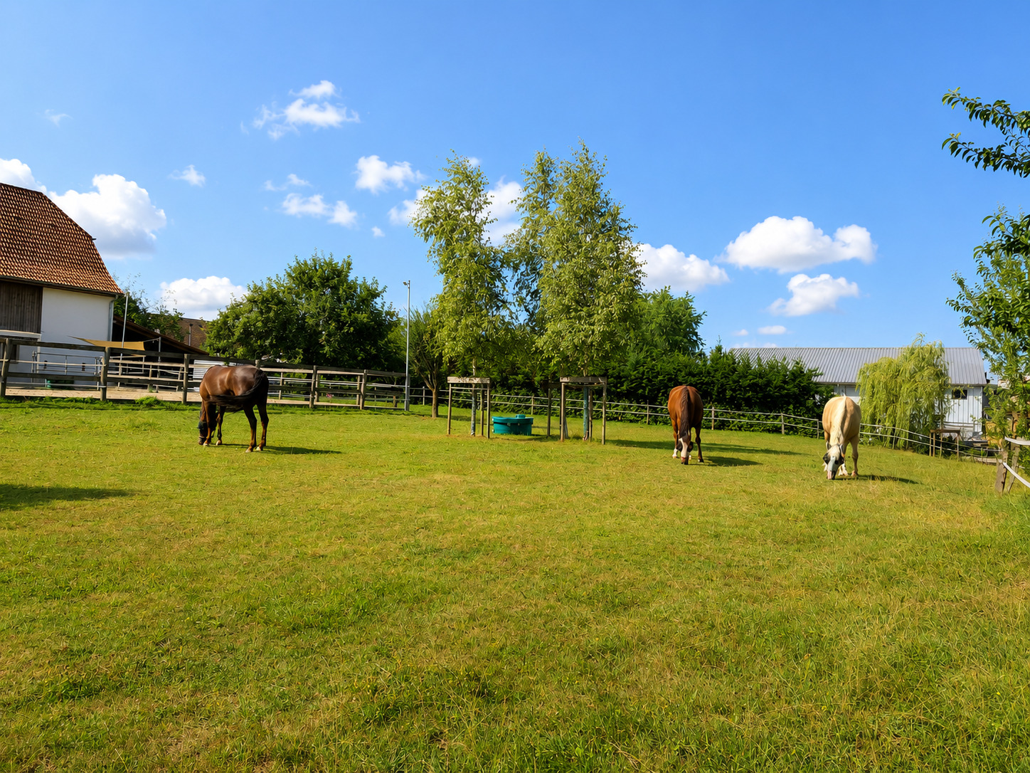 Pferdeweide mit Nebengebäuden