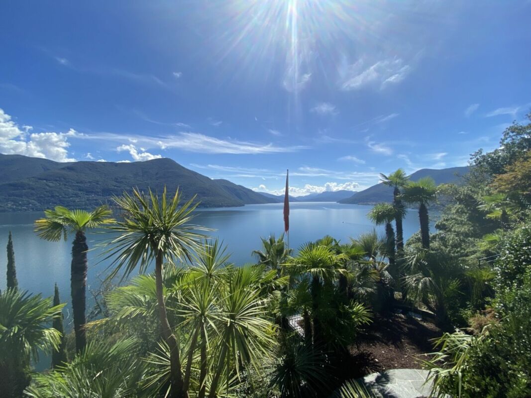 Seeblick mit Palmen und Bergen