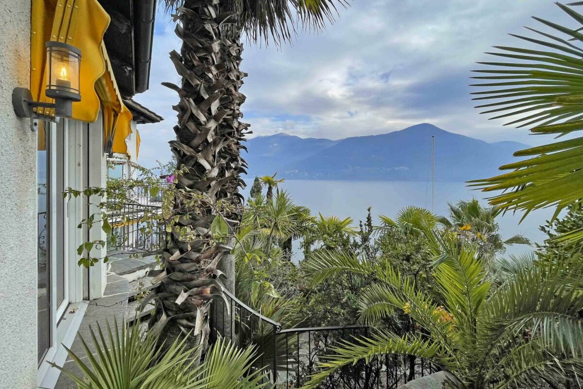 Terrasse mit Seeblick und Palmen