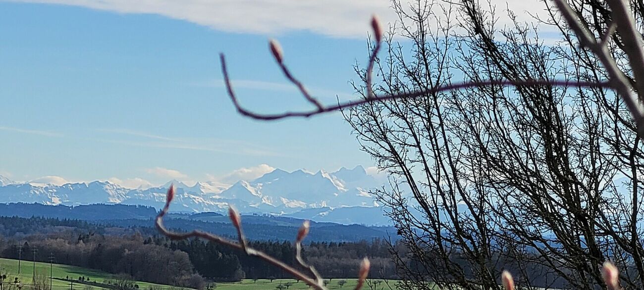 Alpenblick über eine grüne Landschaft