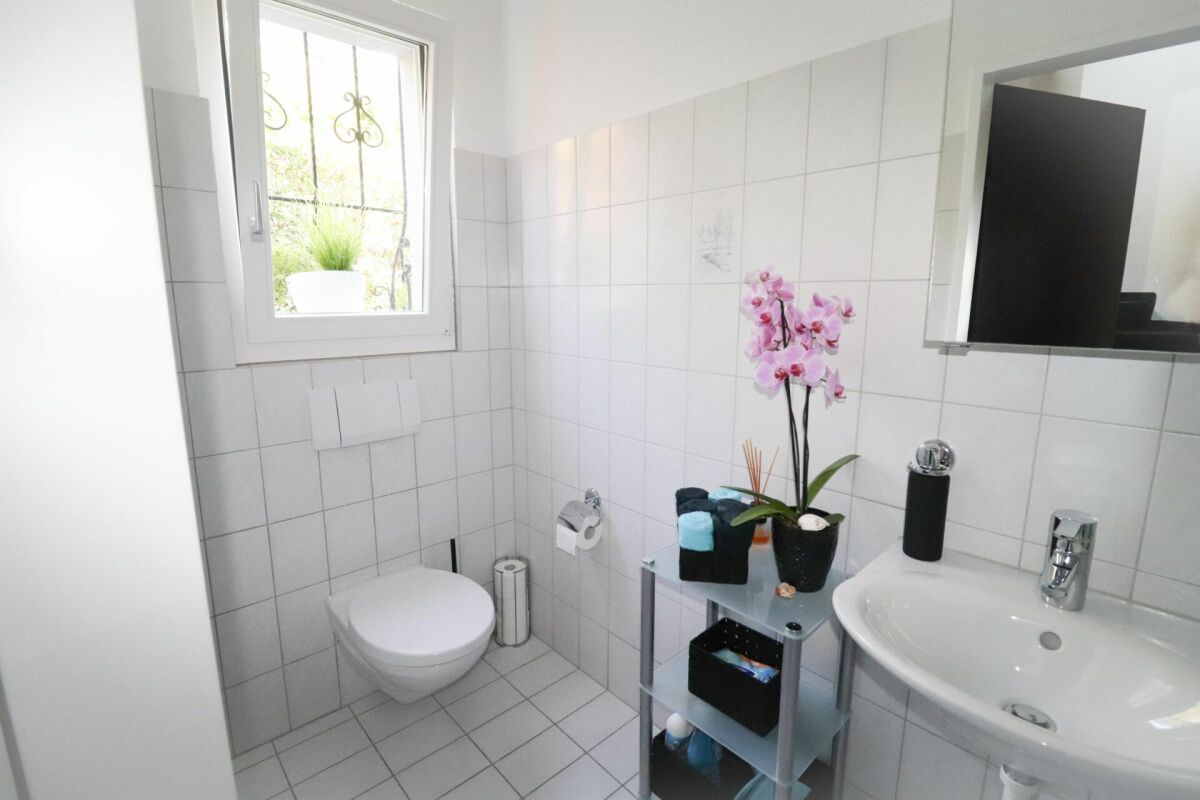 Modernes Gäste-WC mit Waschbecken und Fenster