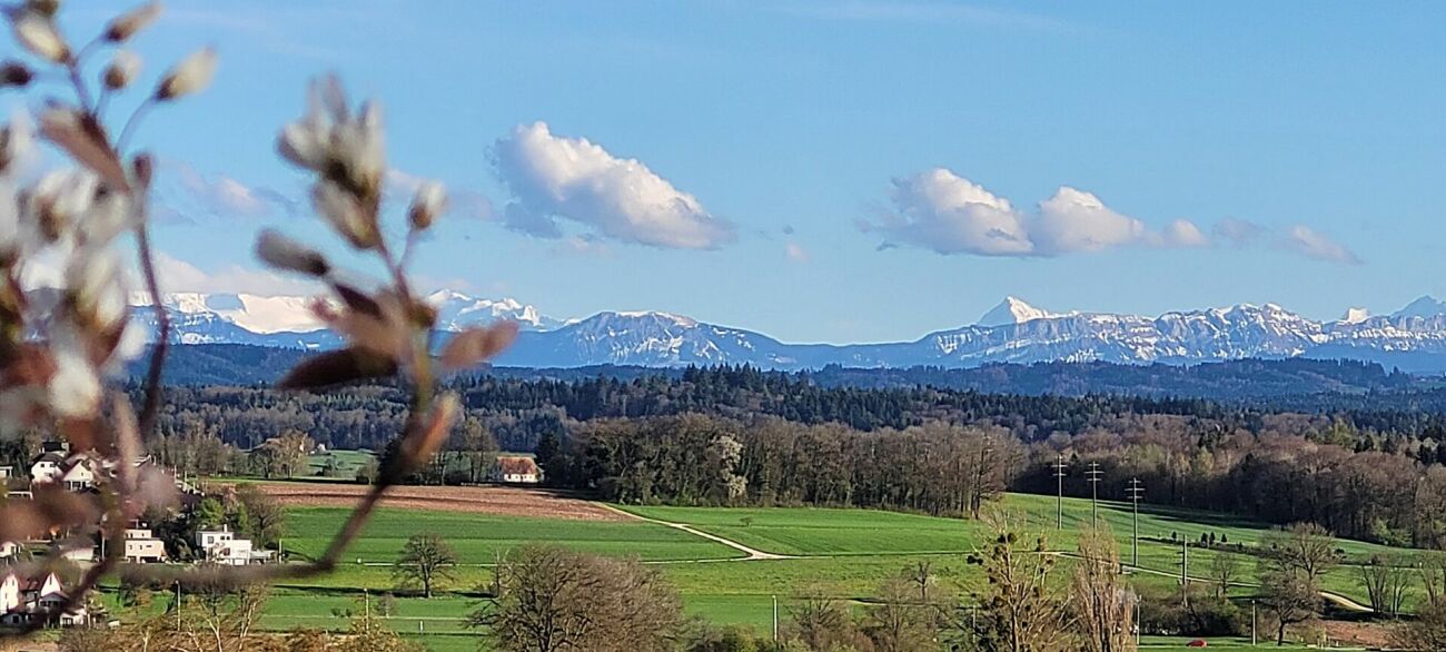 Landschaft mit Bergpanorama