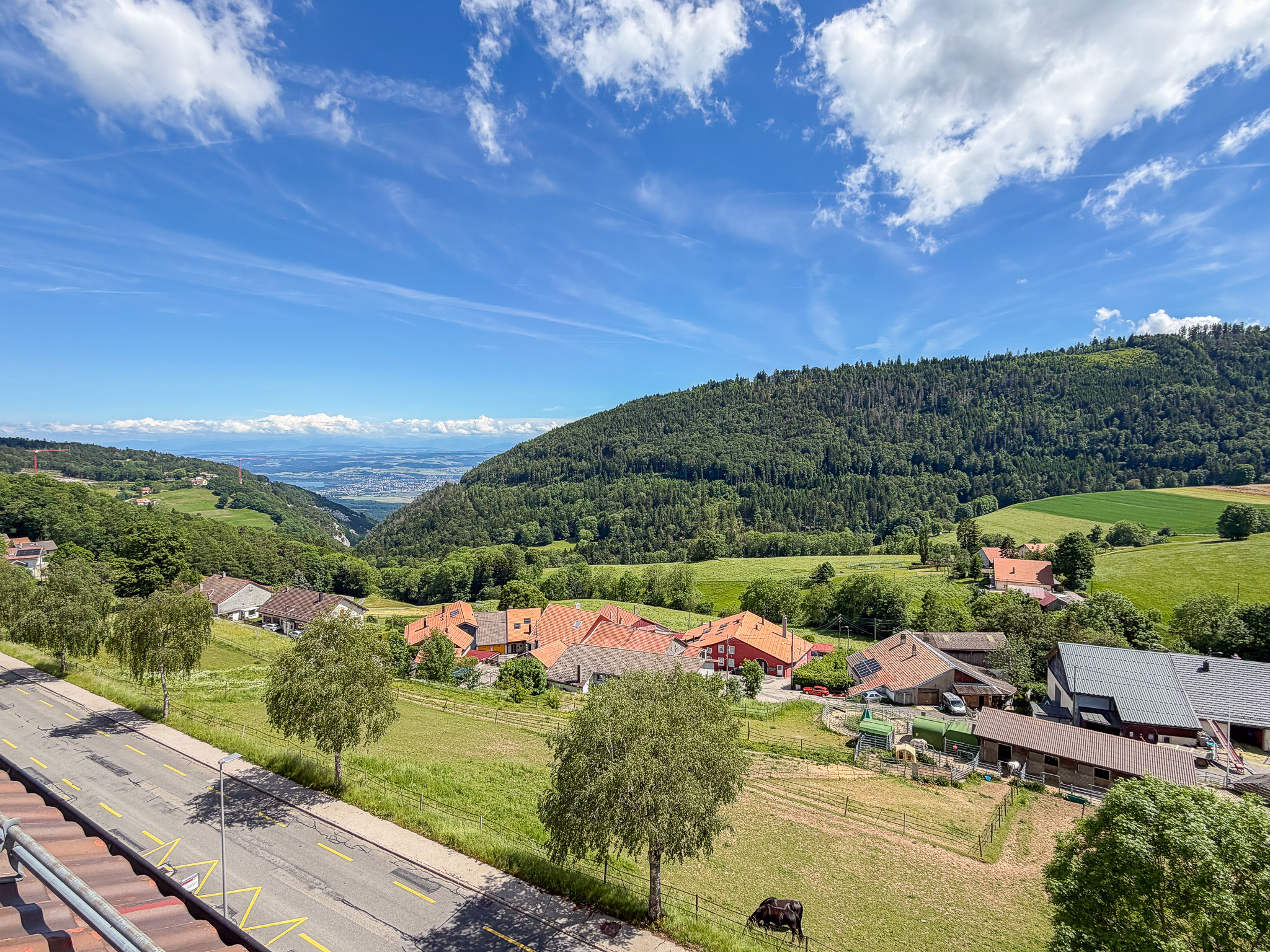 Alpenlandschaft mit Talblick und Wohnhäusern