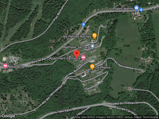 Luftaufnahme einer bewaldeten Bergsiedlung mit Google-Maps-Markierungen