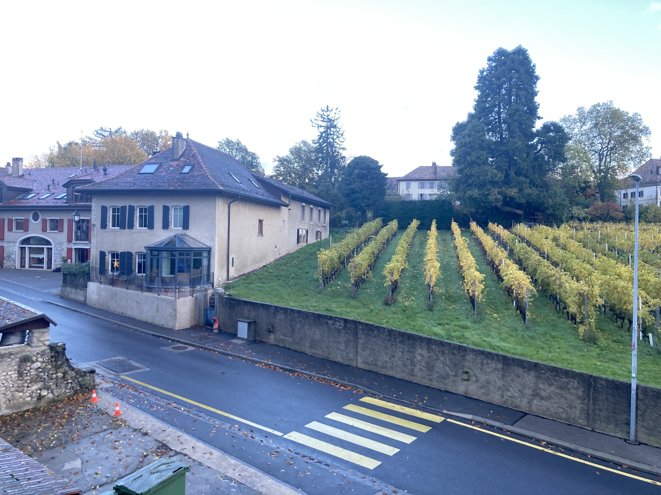 Außenansicht eines Hauses neben Weinreben