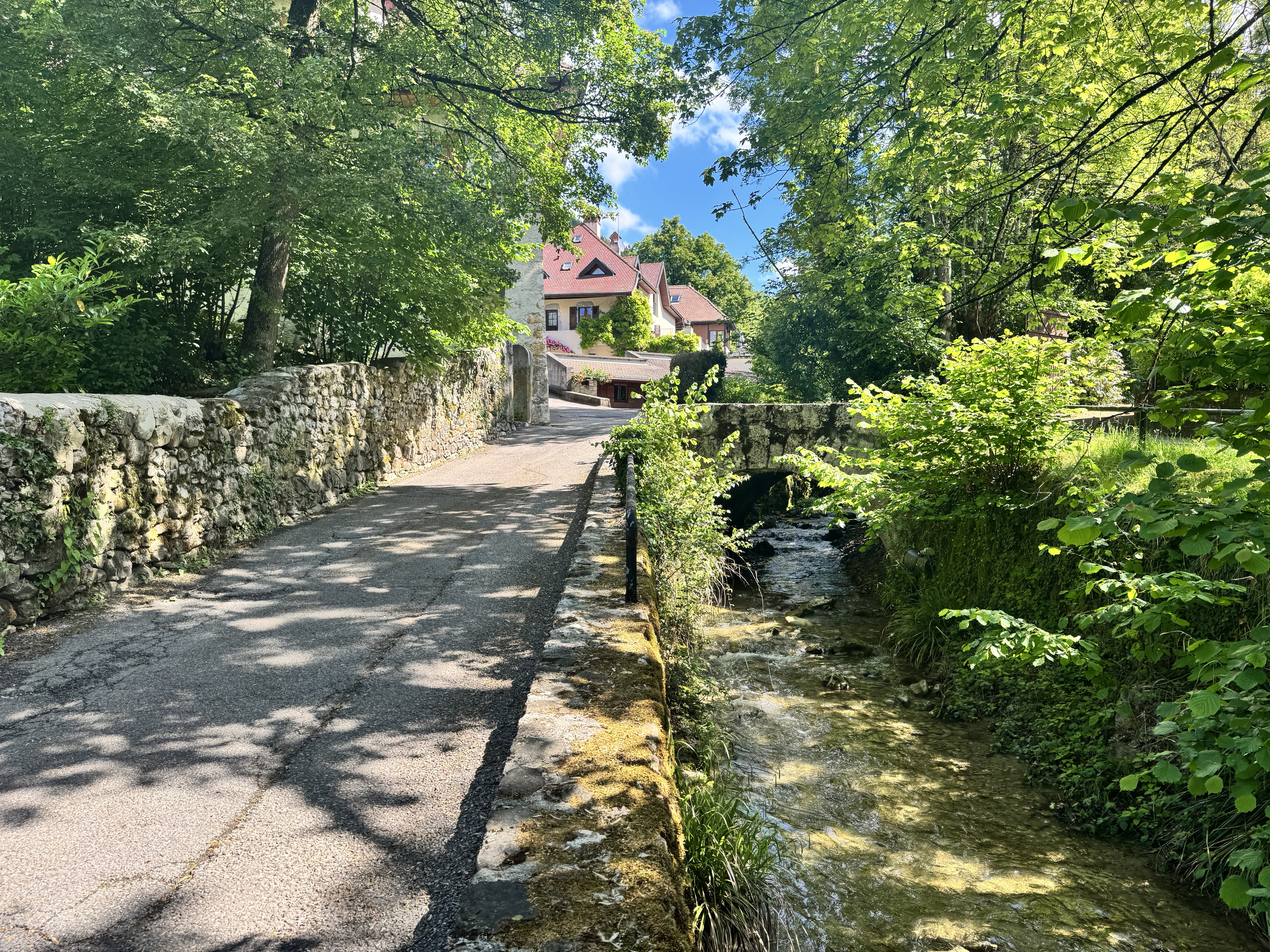 Uferweg an einem Bach unter Bäumen