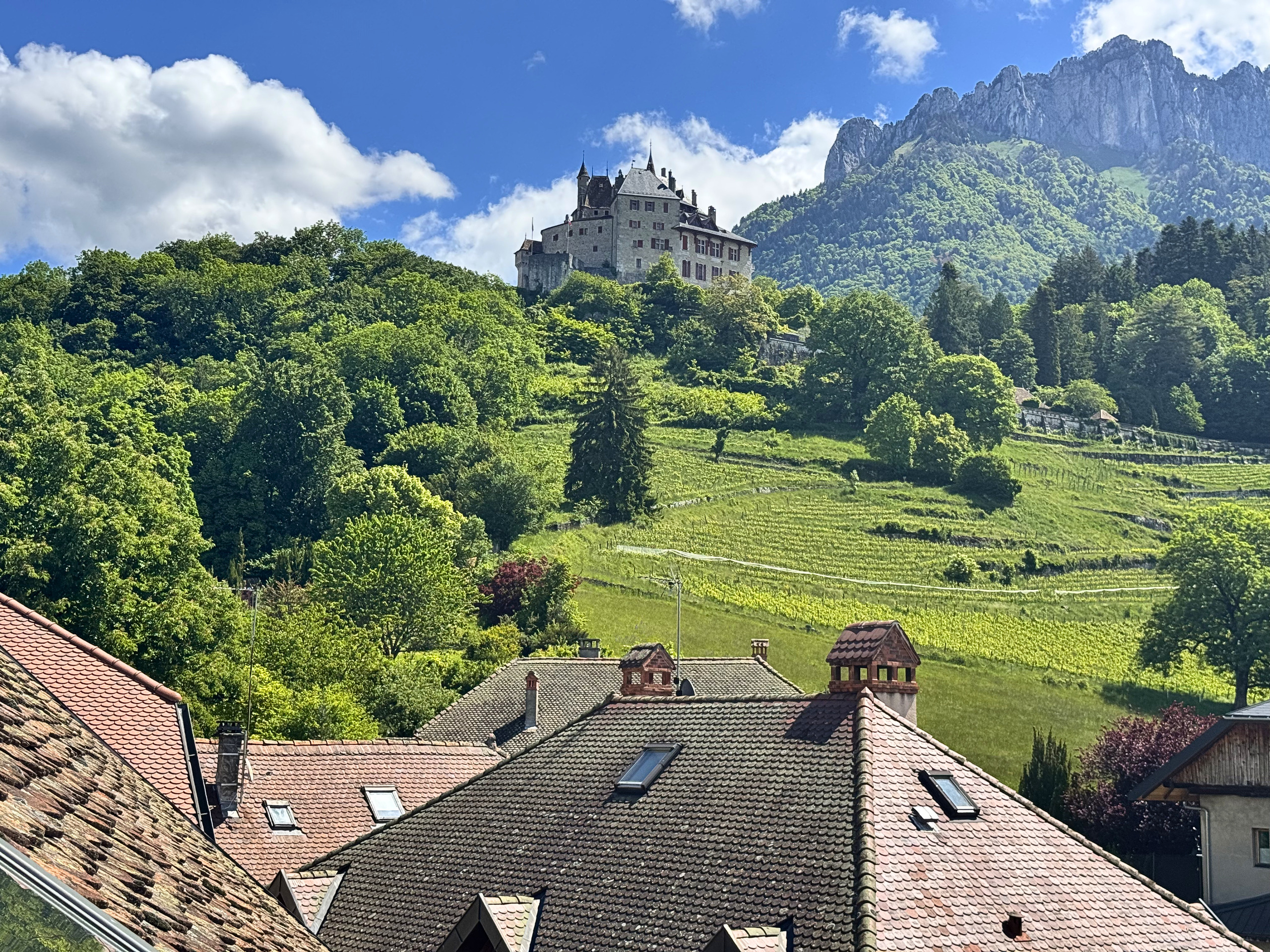 Bergblick mit Schloss über grüner Landschaft