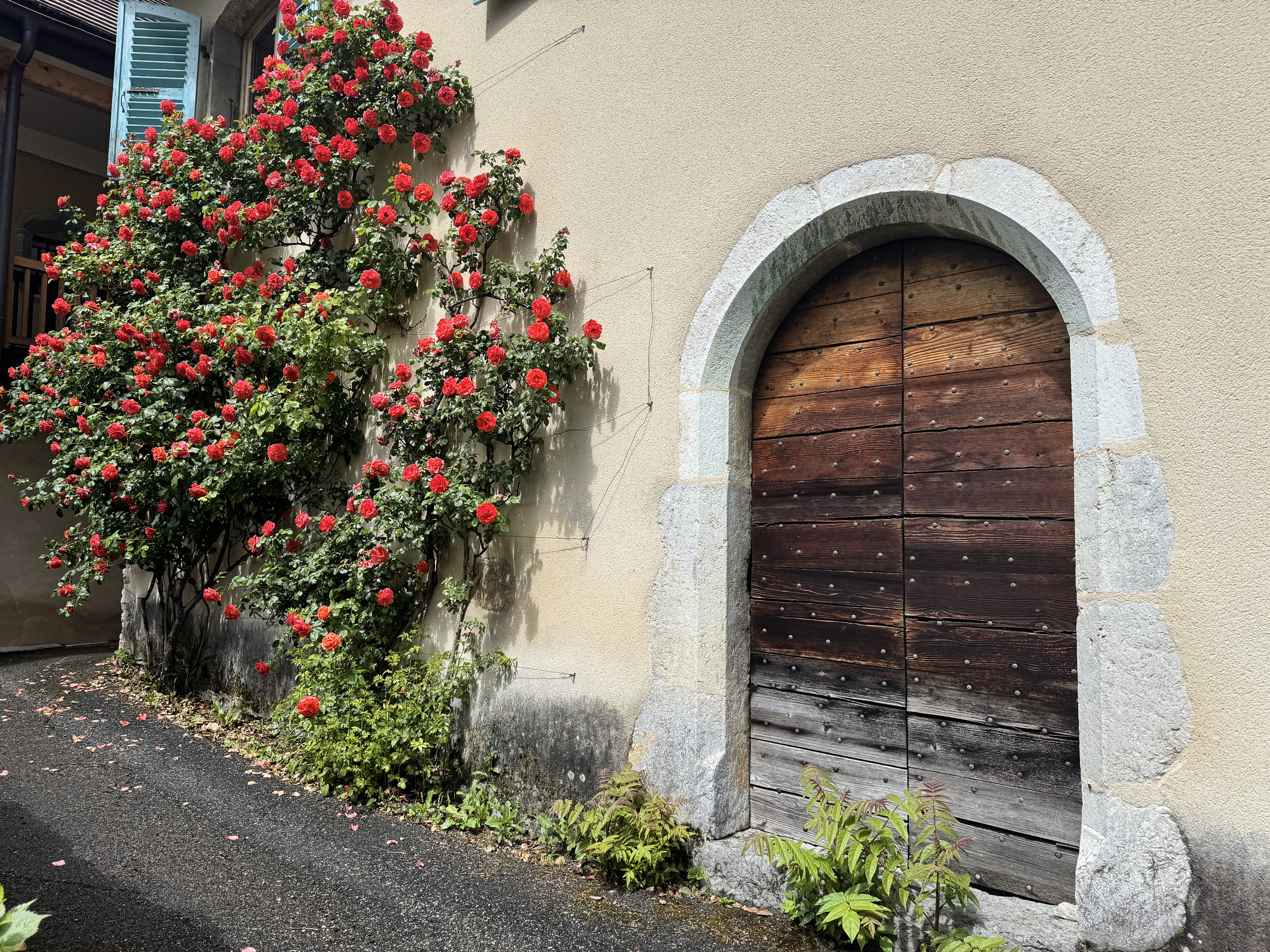 Historischer Außenbereich mit Rosenbewuchs und Holztür