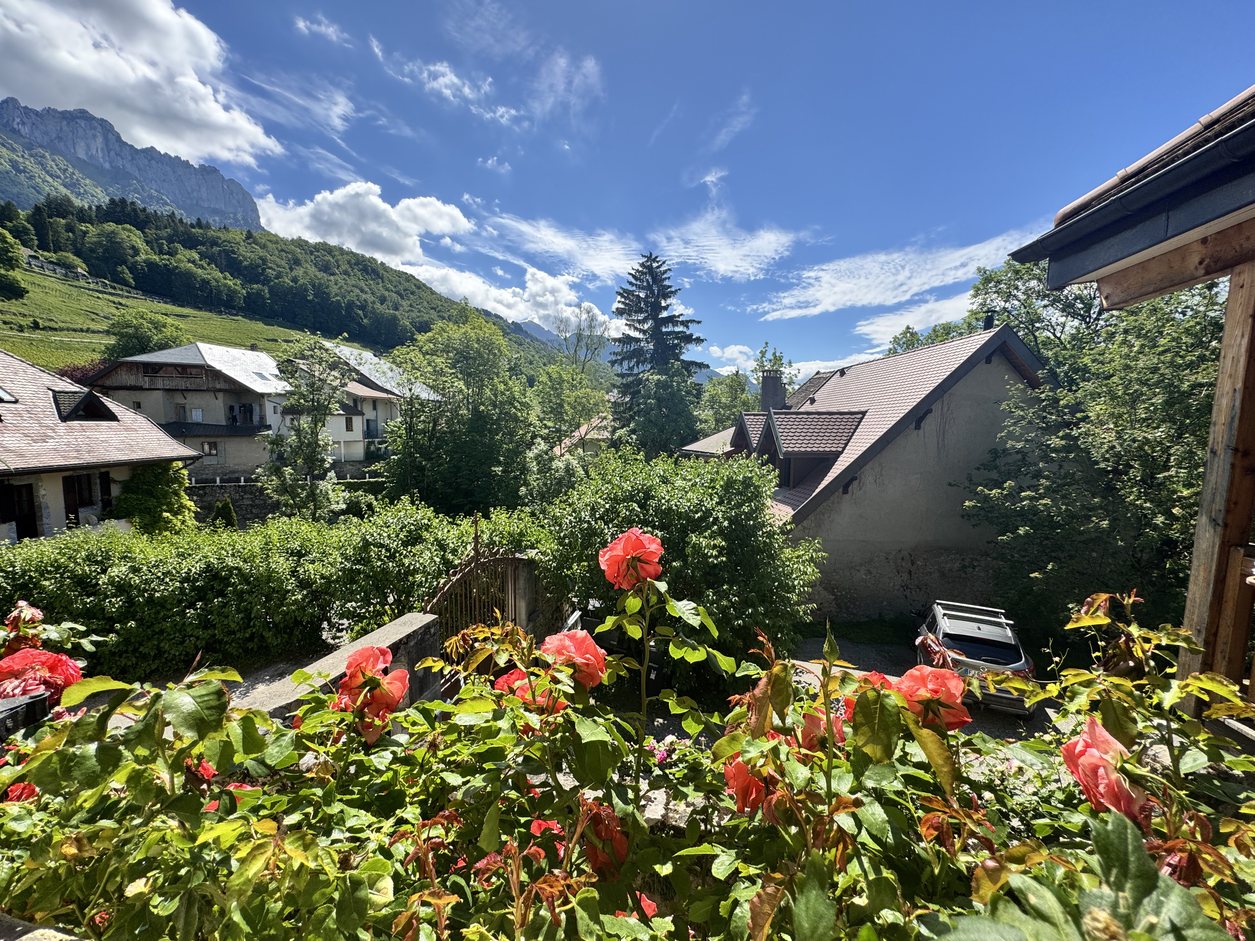 Bergblick über Wohnhäuser und Garten