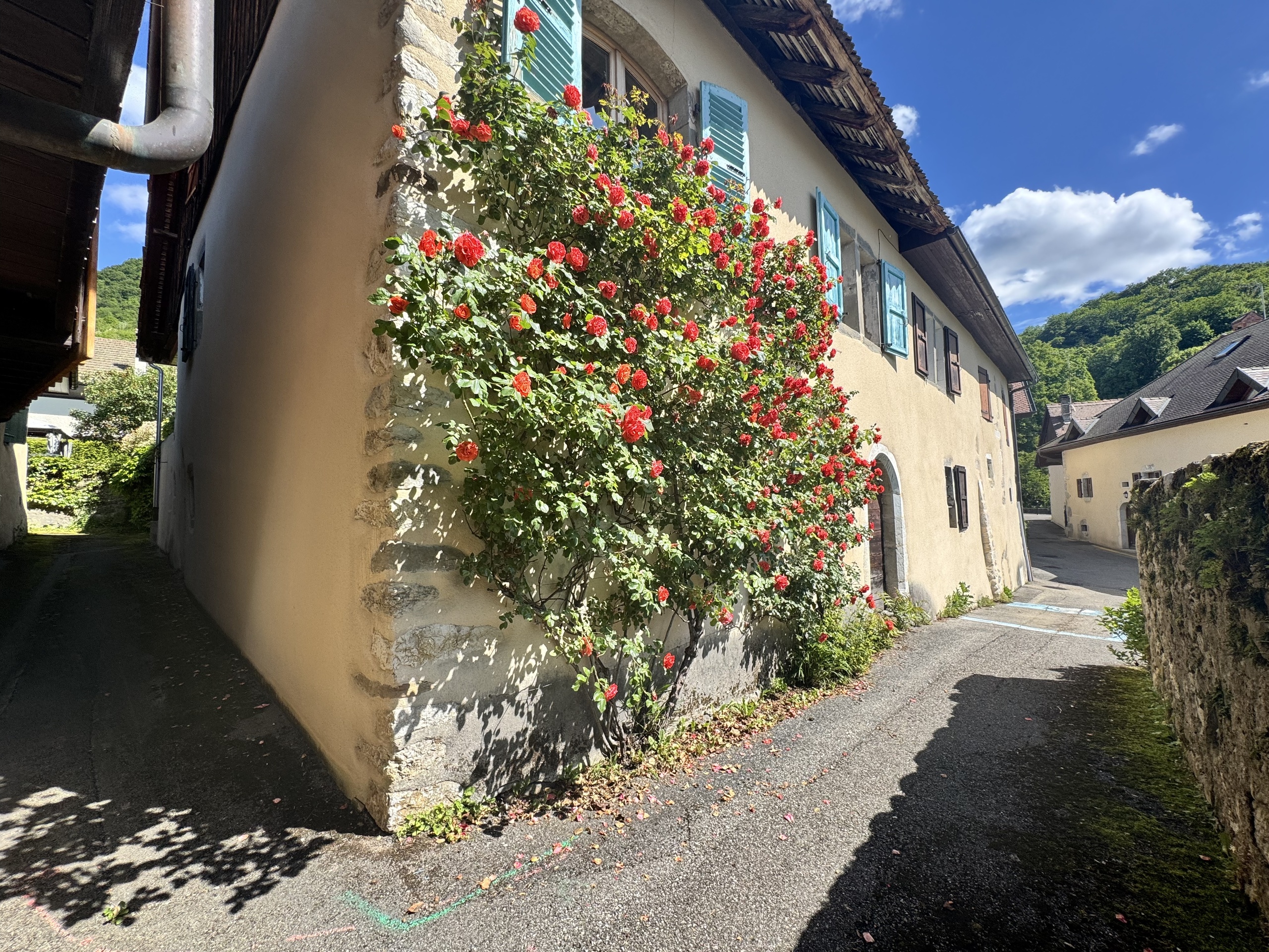 Historische Hausfassade mit Rosen
