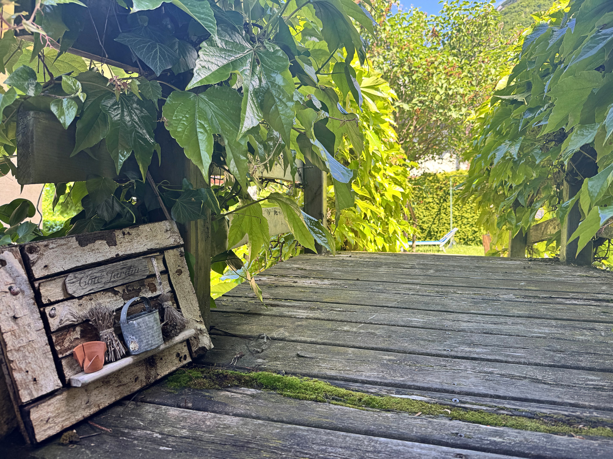 Verwachsene Holzterrasse mit Gartenblick