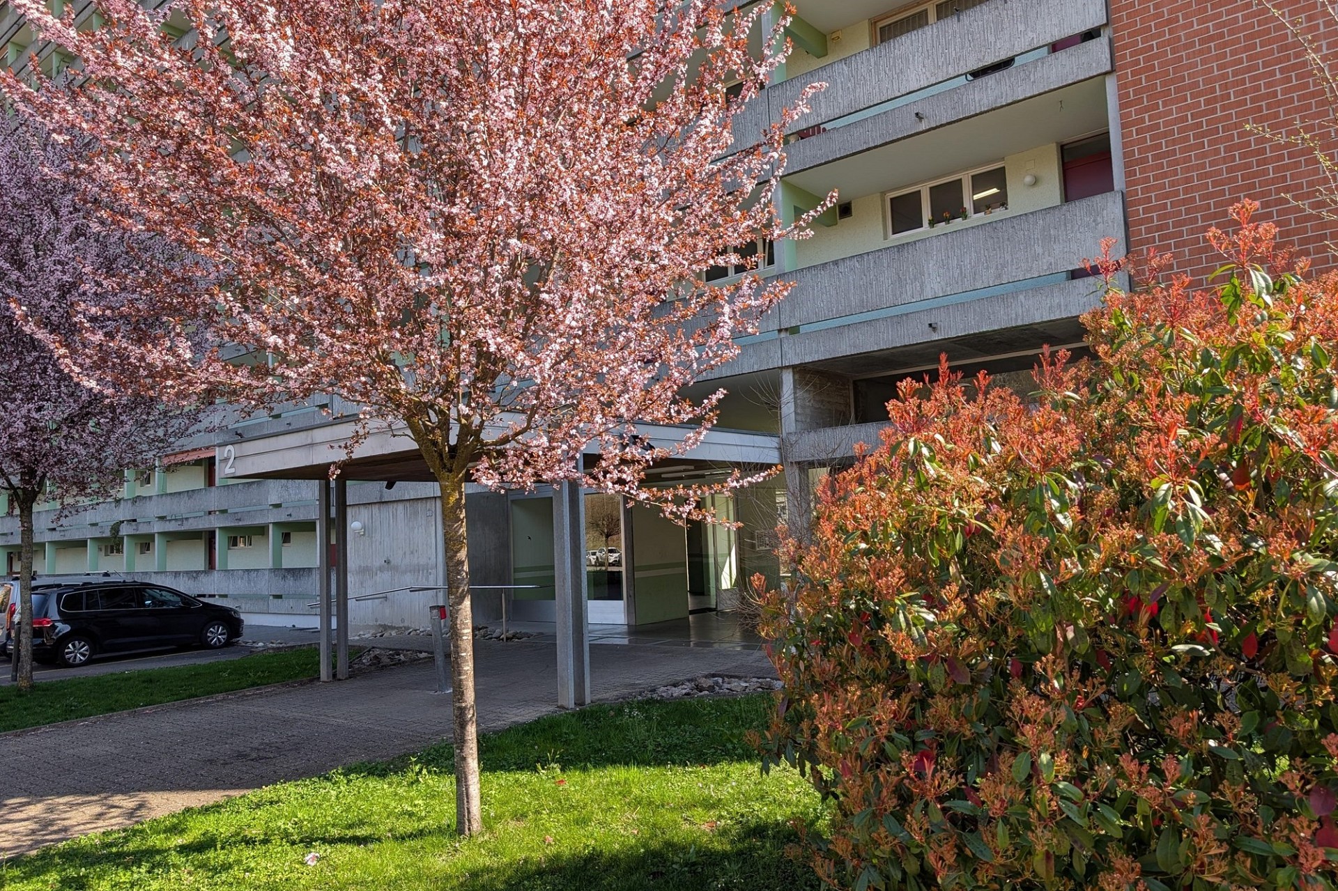 Mehrfamilienhaus mit begrüntem Eingangsbereich
