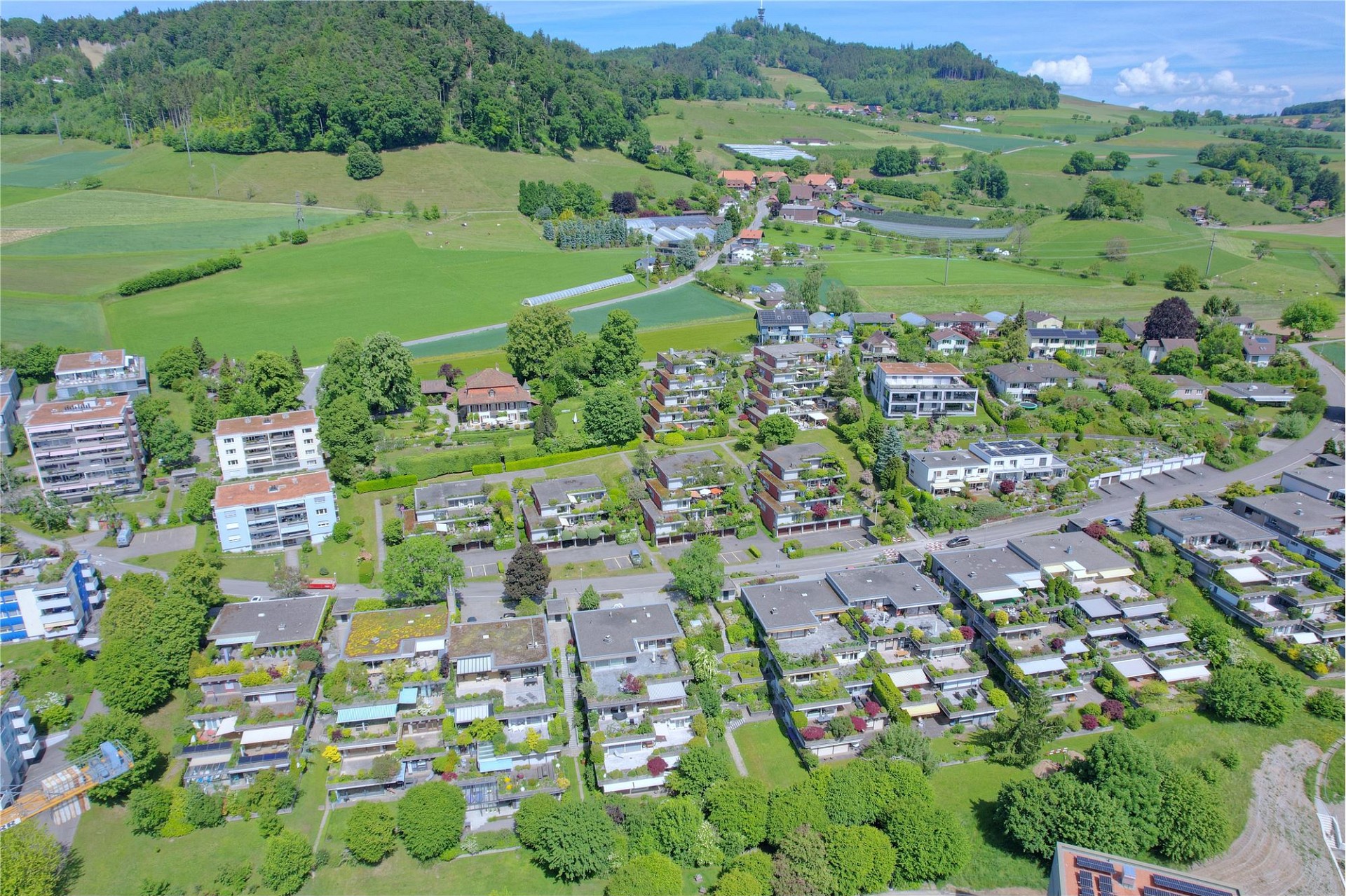 Luftaufnahme eines Wohnviertels im Grünen