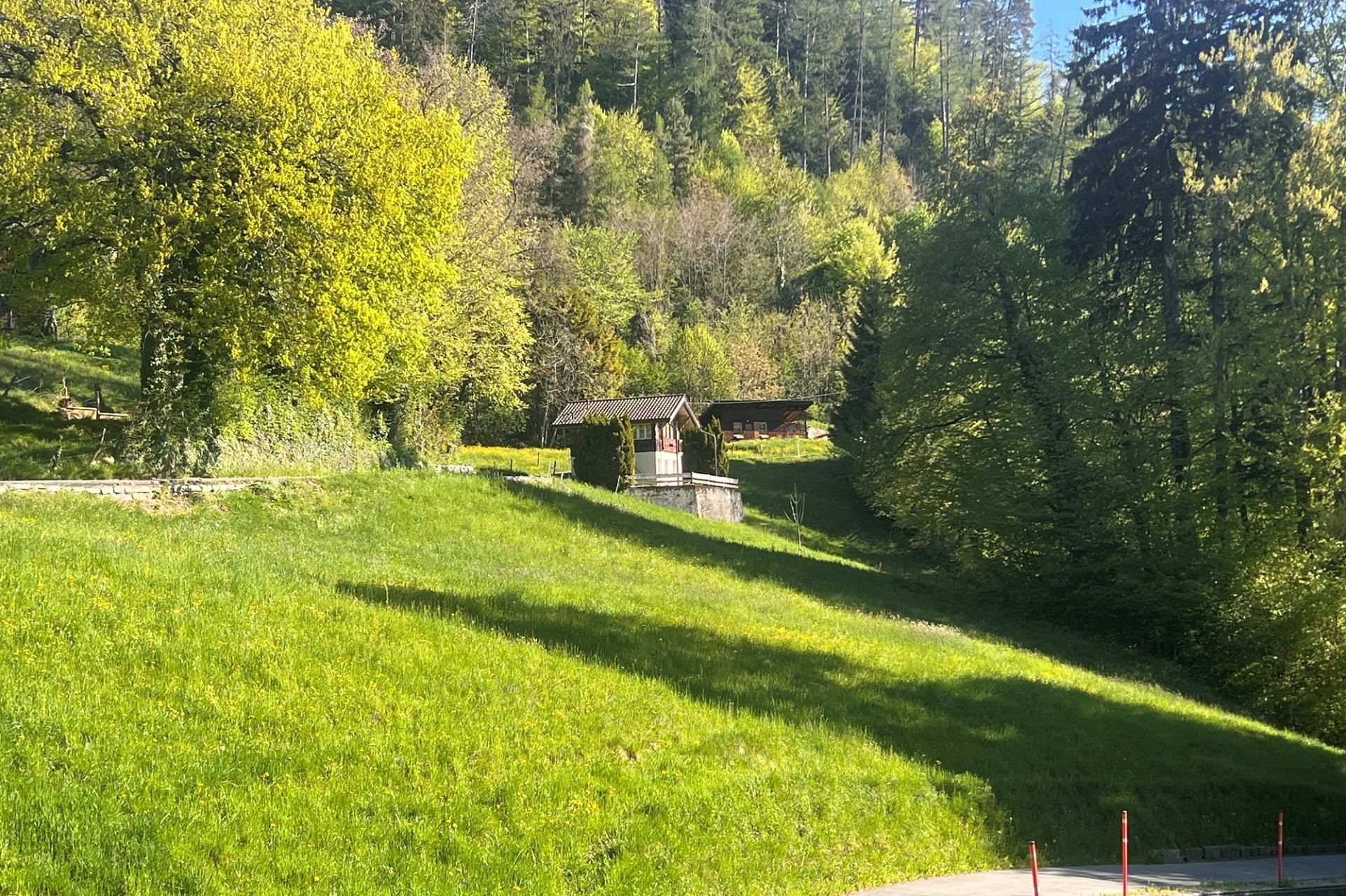 Almwiese mit Wald und kleinen Hütten