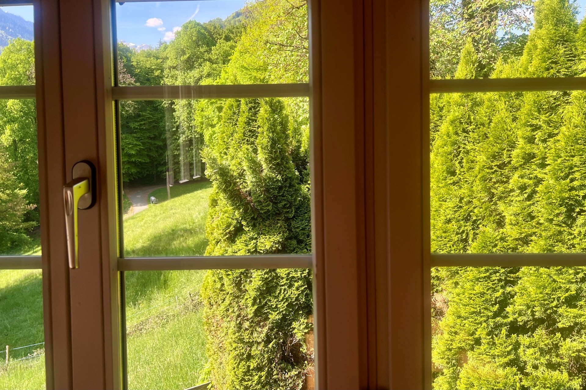 Blick durch ein Holzfenster in den Garten