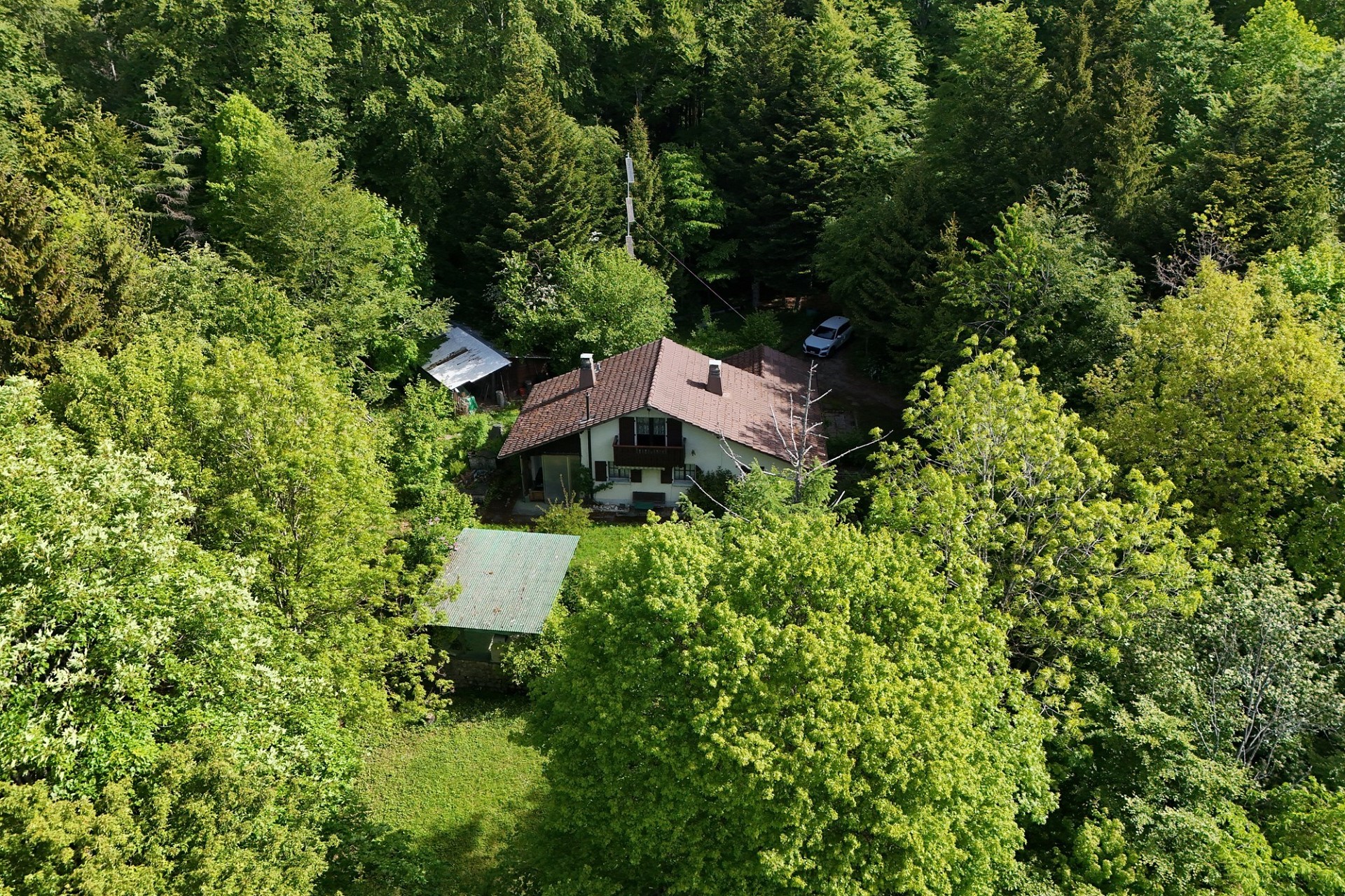 Luftaufnahme eines Hauses im Wald