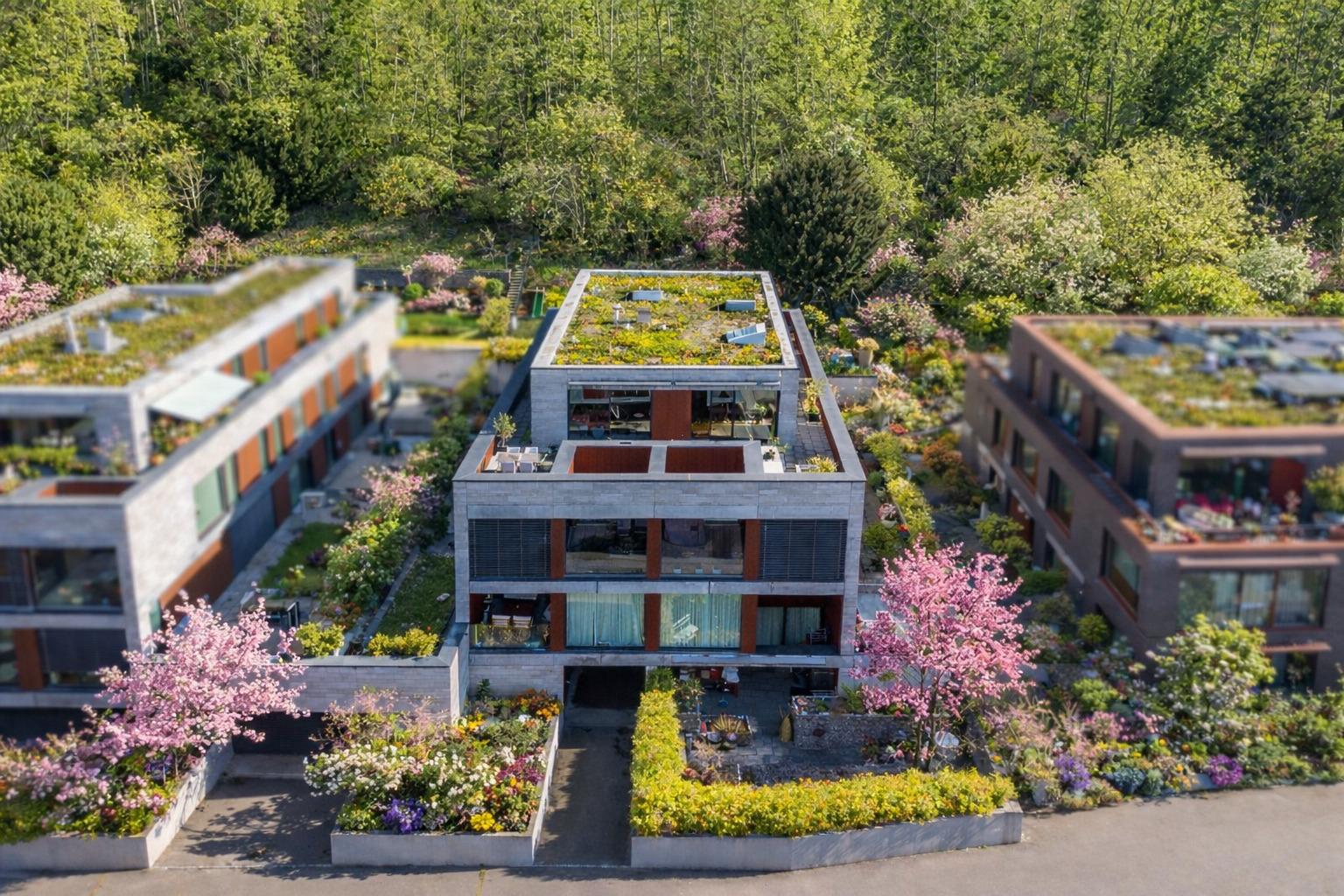 Moderne Wohnanlage mit begrünten Dächern