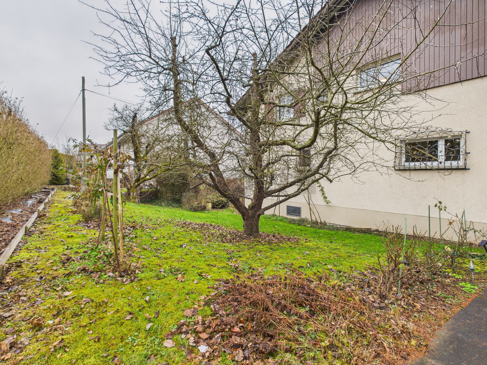 Gartenansicht eines Wohnhauses