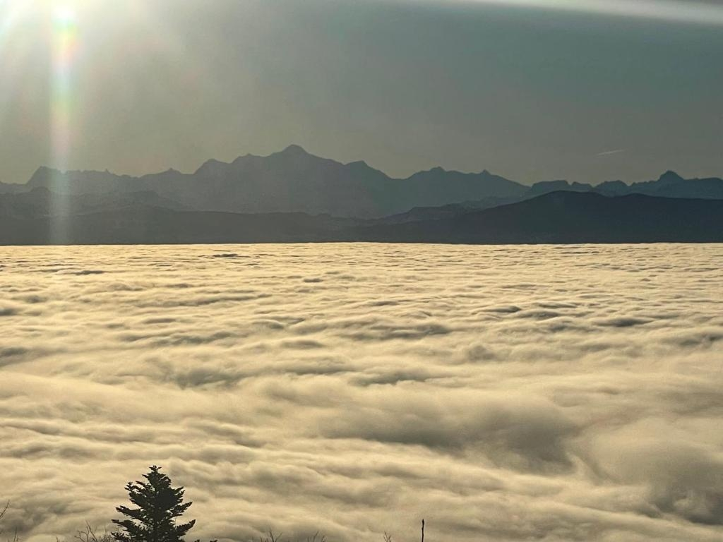 Bergpanorama über Wolkendecke