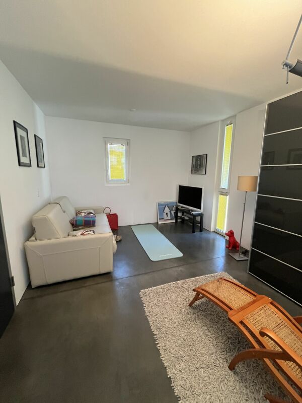 Modernes Wohnzimmer mit dunklem Boden