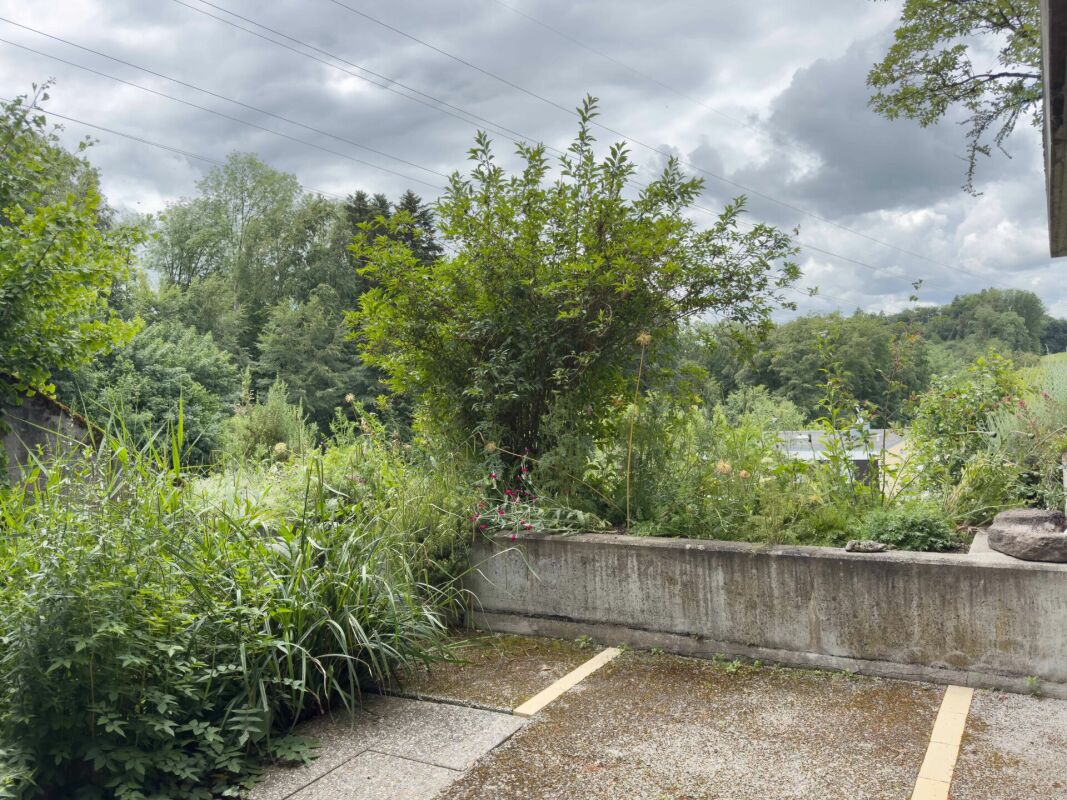 Üppiger Garten mit Terrasse und Naturblick