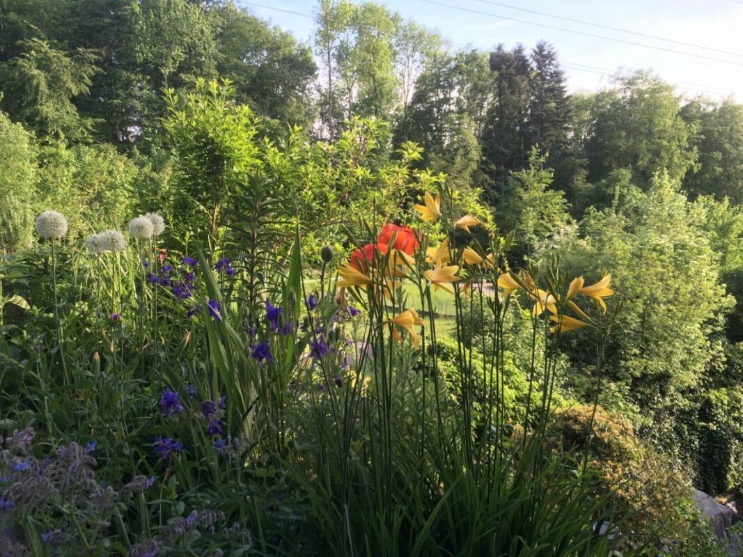 Blühender Garten mit Waldblick
