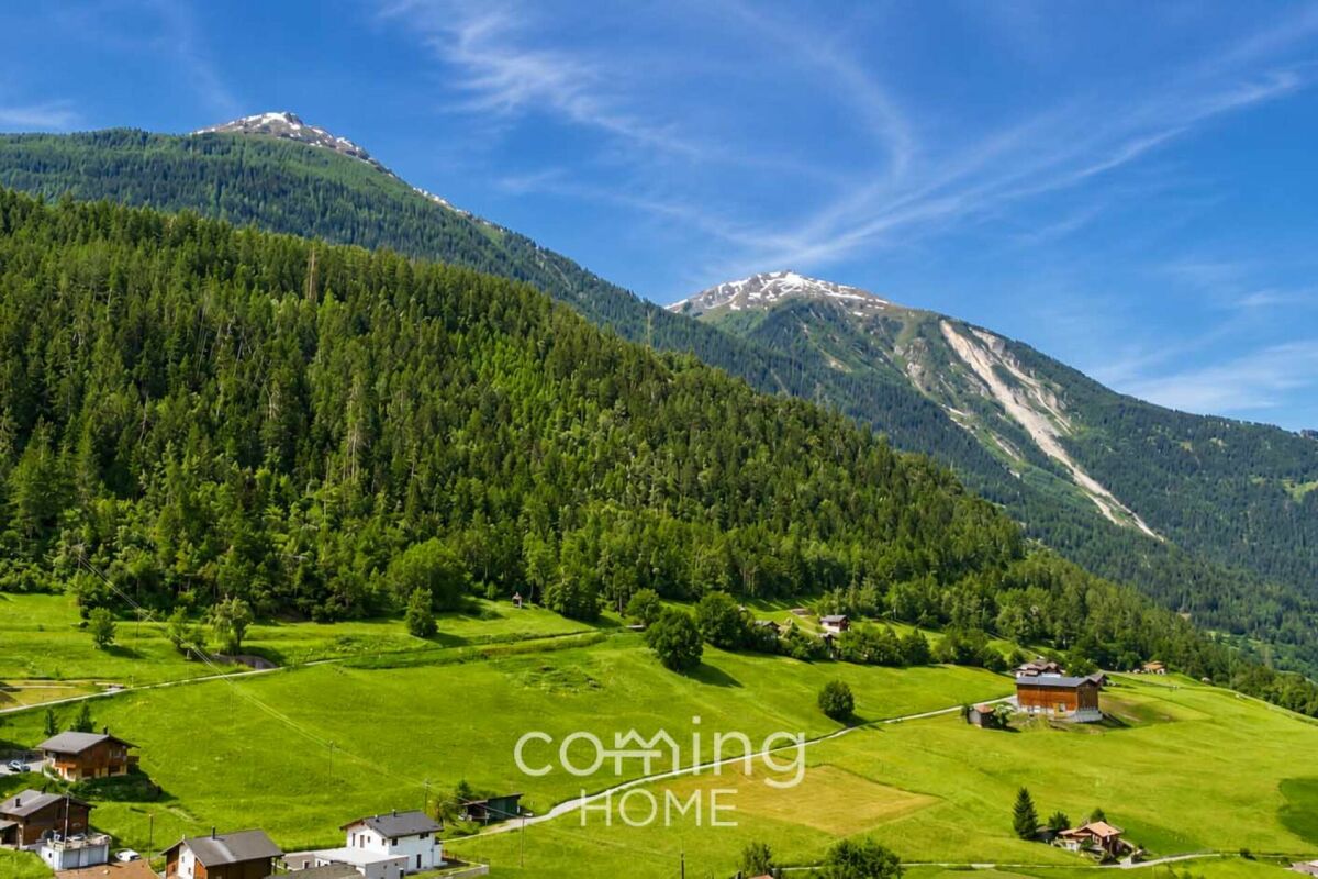 Alpine Landschaft mit Wiesen und Bergen