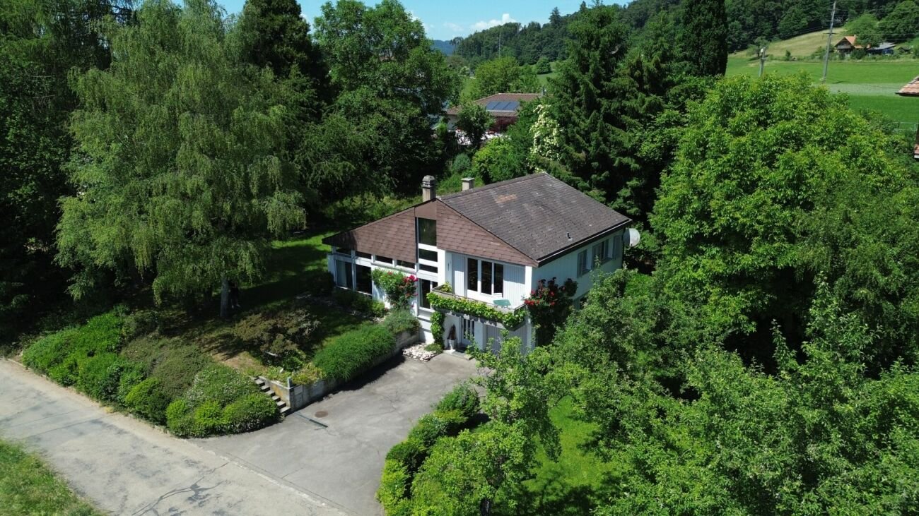 Luftaufnahme eines Hauses im Grünen