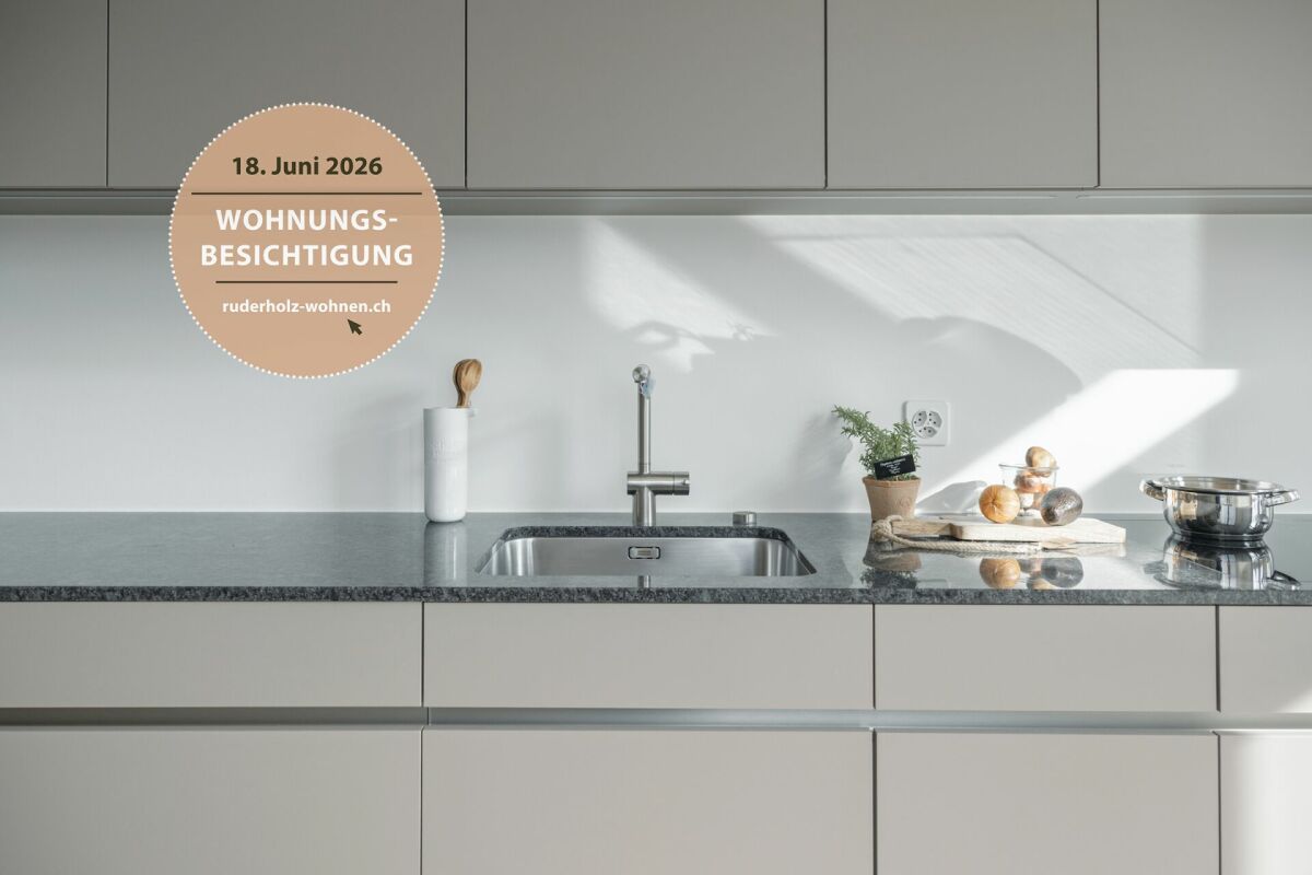 Moderne Küche mit Arbeitsplatte und Spüle