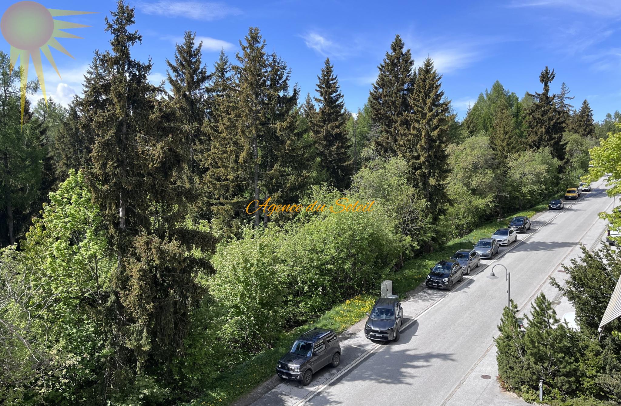 Straßenblick in waldreicher Umgebung