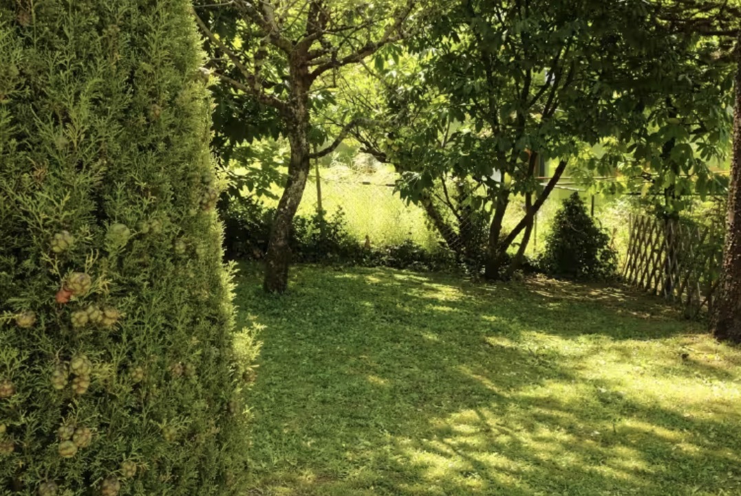 Grüner Garten mit Bäumen