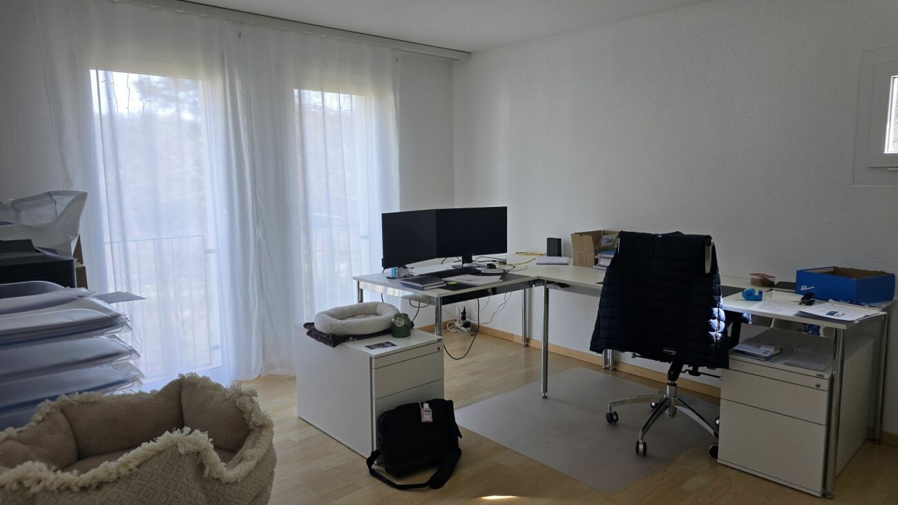 Arbeitszimmer mit Schreibtisch und Tageslicht