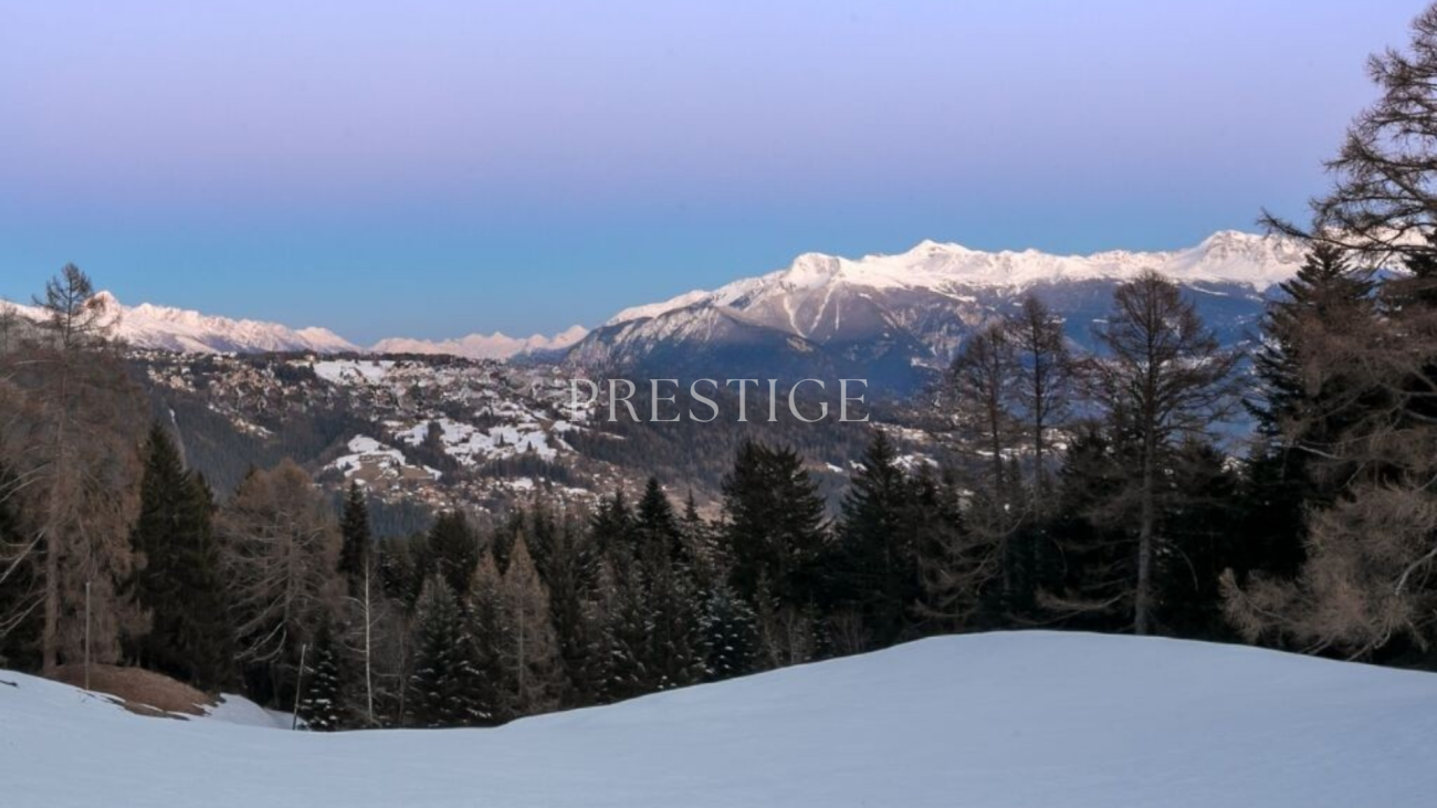 Schneelandschaft mit Bergpanorama