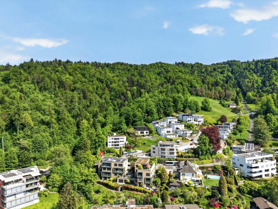 Luftaufnahme einer grünen Hanglage mit Wohnhäusern