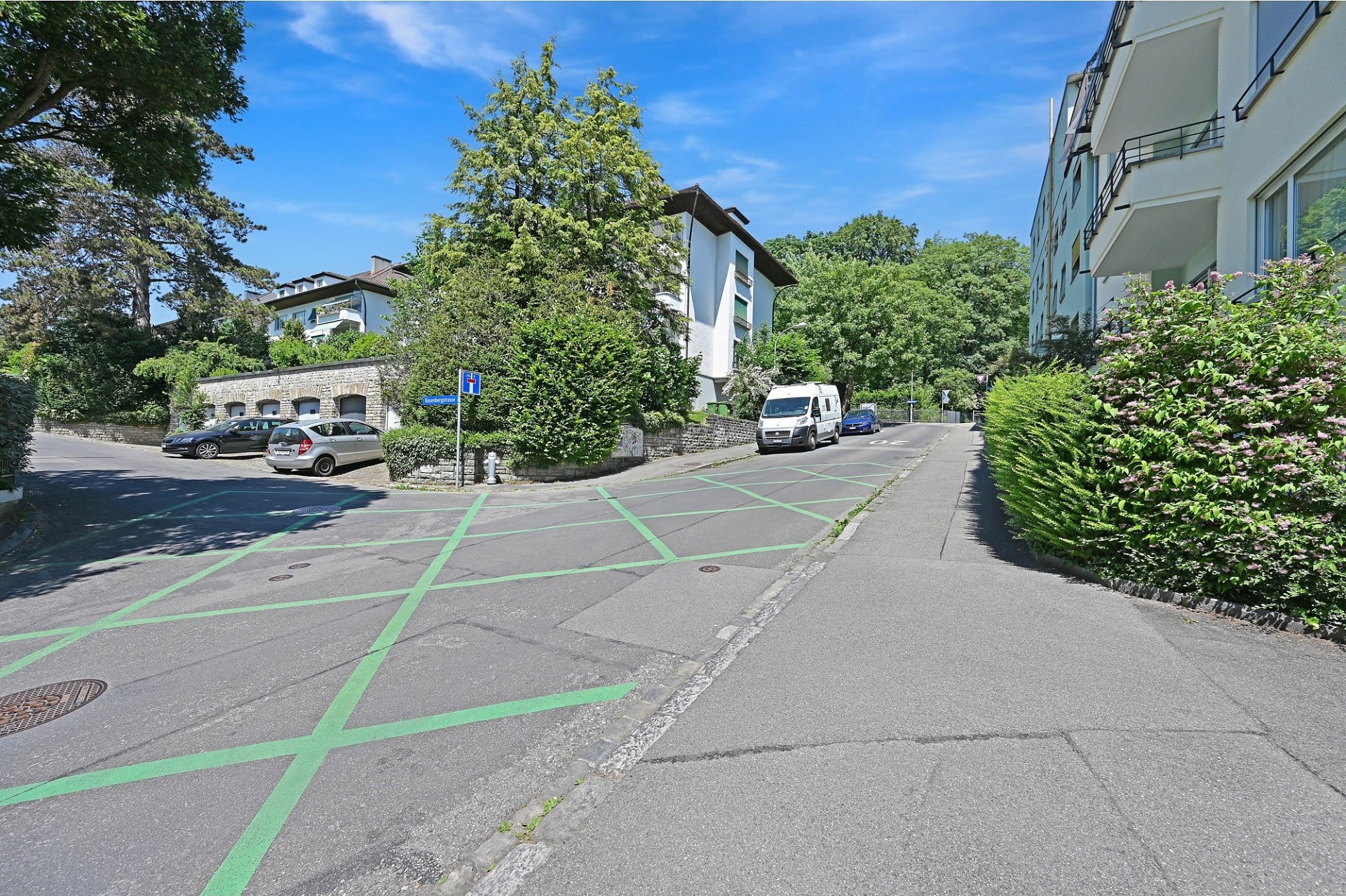 Straßenansicht mit Wohngebäuden und viel Grün