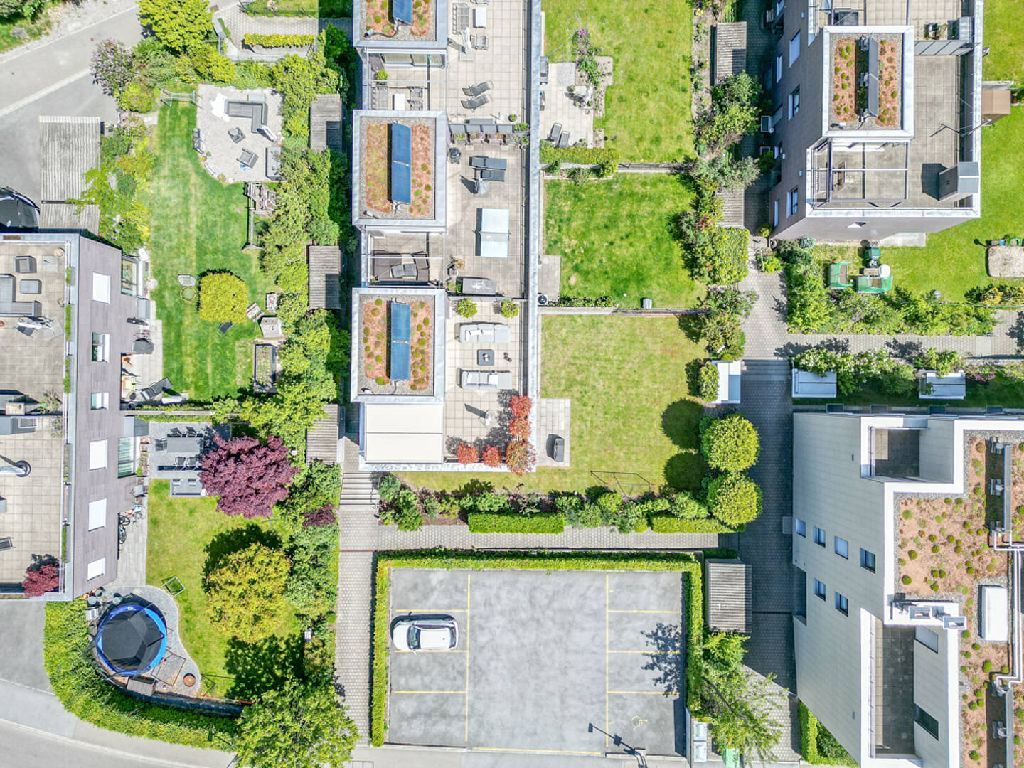 Luftaufnahme einer Wohnsiedlung mit Gärten und Dachterrassen