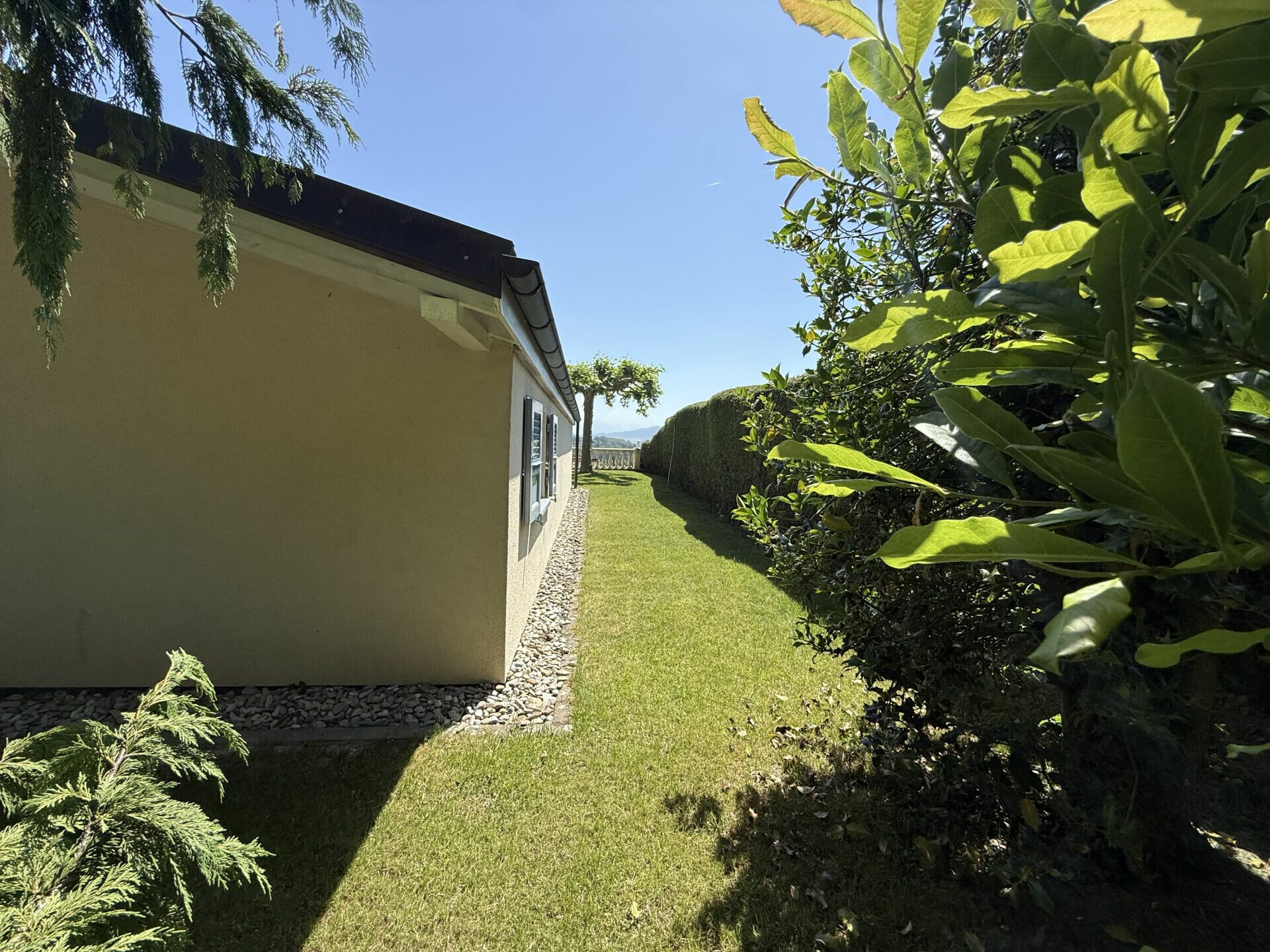 Gepflegter Gartenstreifen entlang eines Hauses