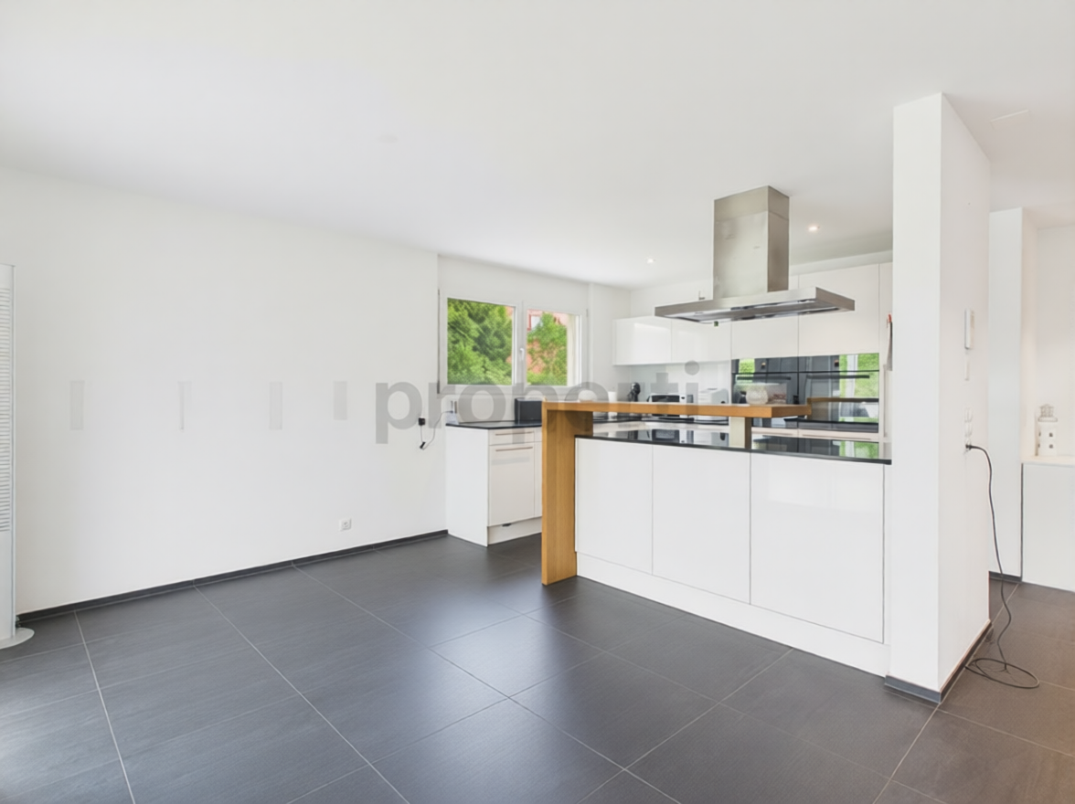 Offene moderne Küche mit großem Wohnraum