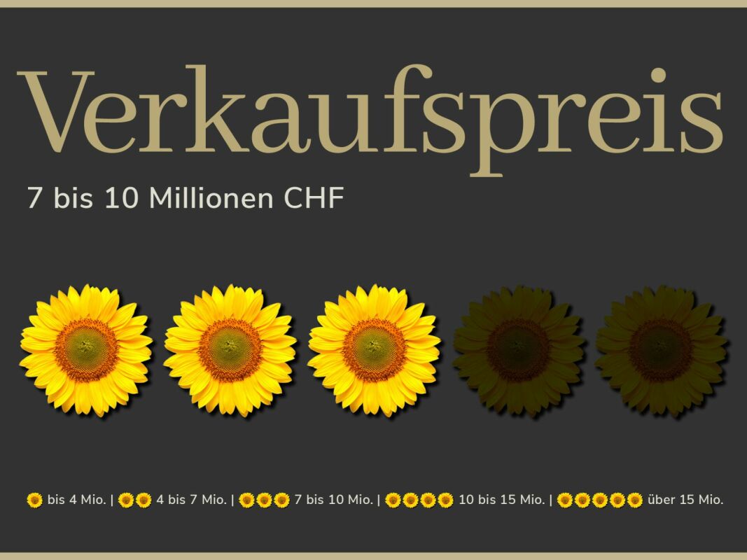 Verkaufspreis-Infografik