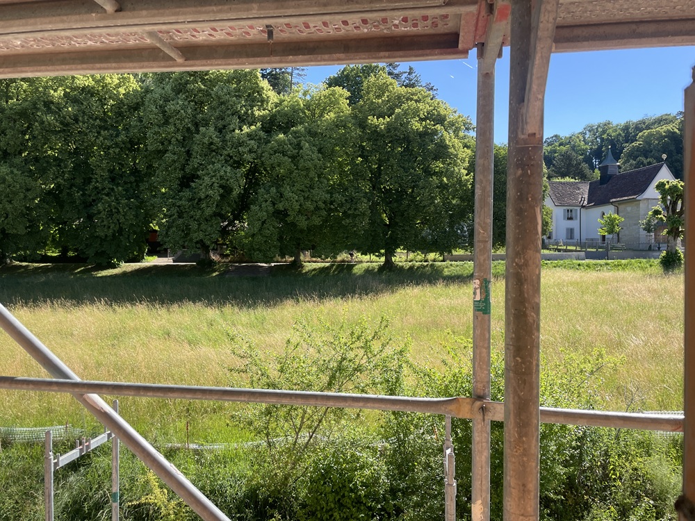 Blick über eine grüne Wiese mit Haus im Hintergrund