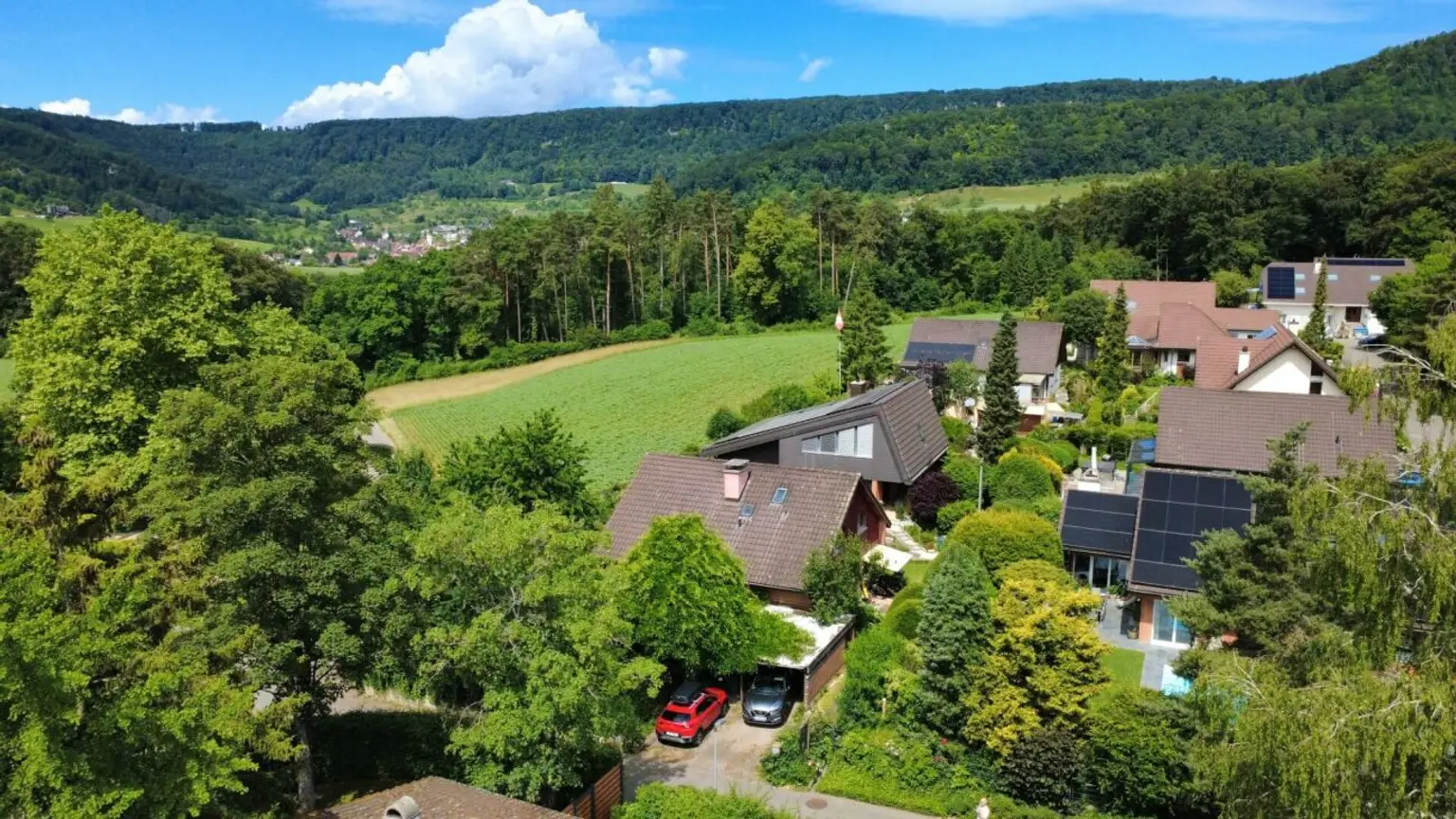 Luftaufnahme einer grünen Wohnsiedlung im Tal