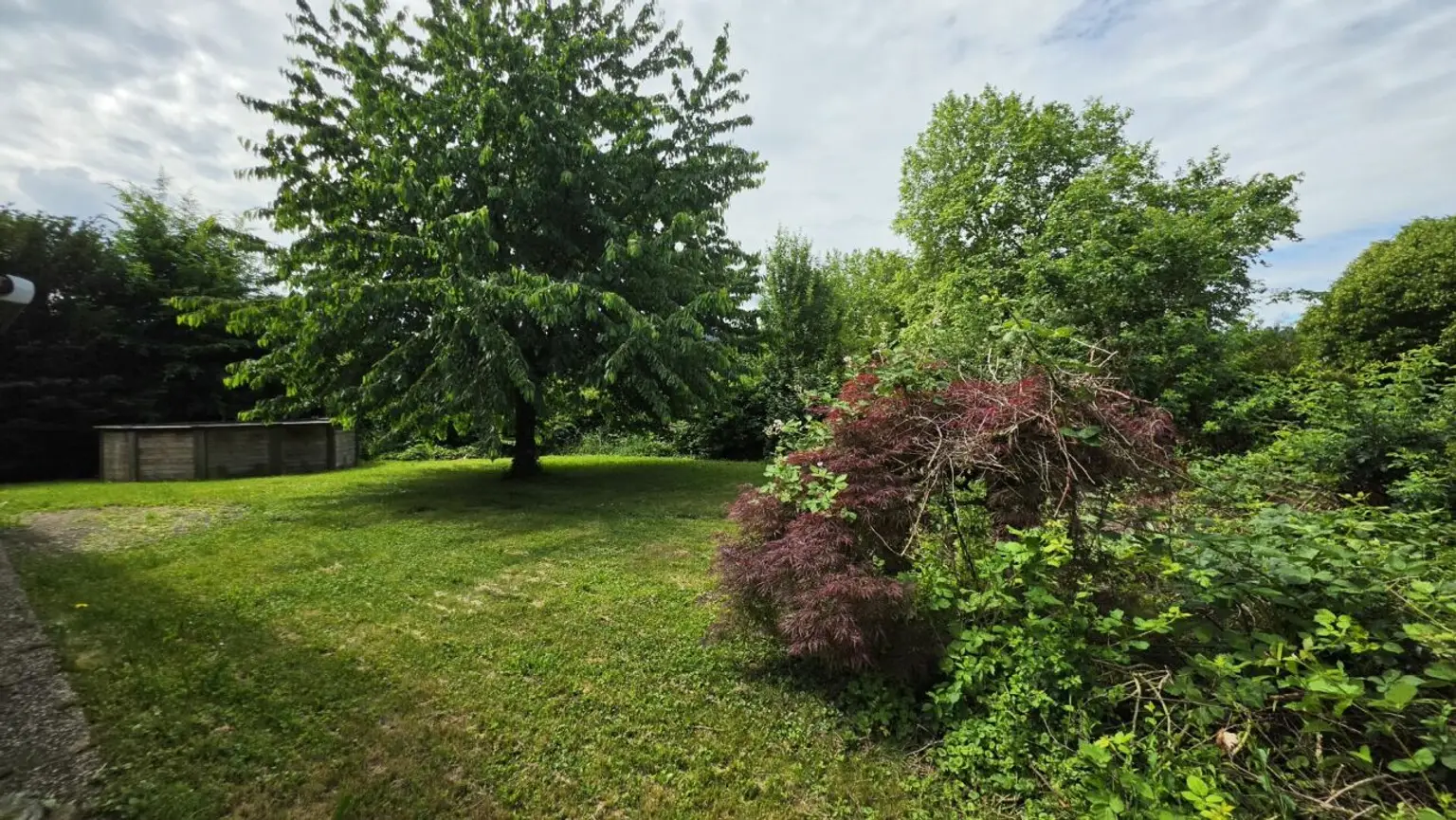 Großer grüner Garten mit altem Baumbestand