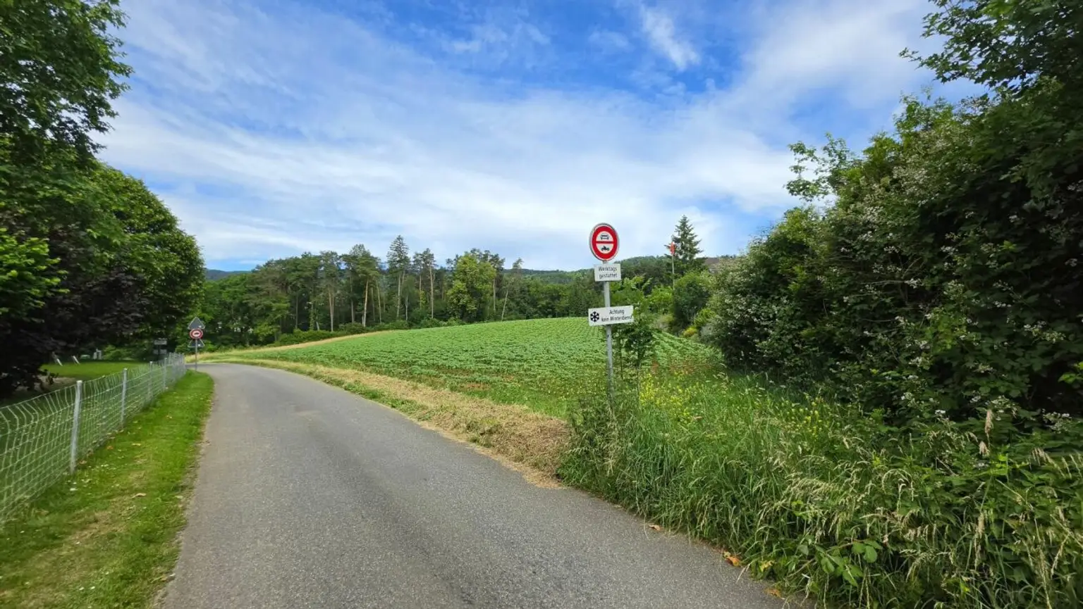 Ländliche Straße mit Feldern und Wald